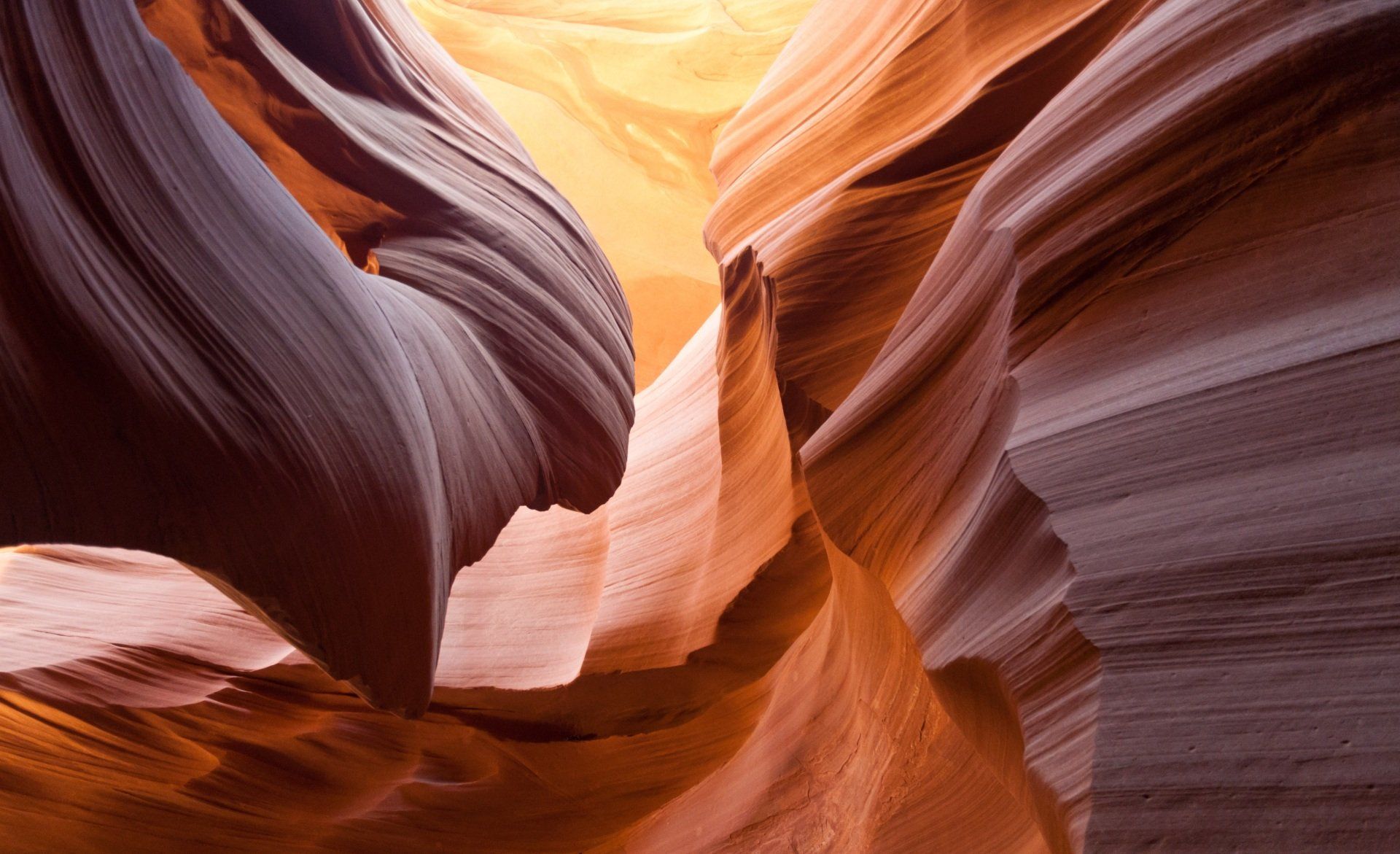 A close up of a canyon with a lot of rocks