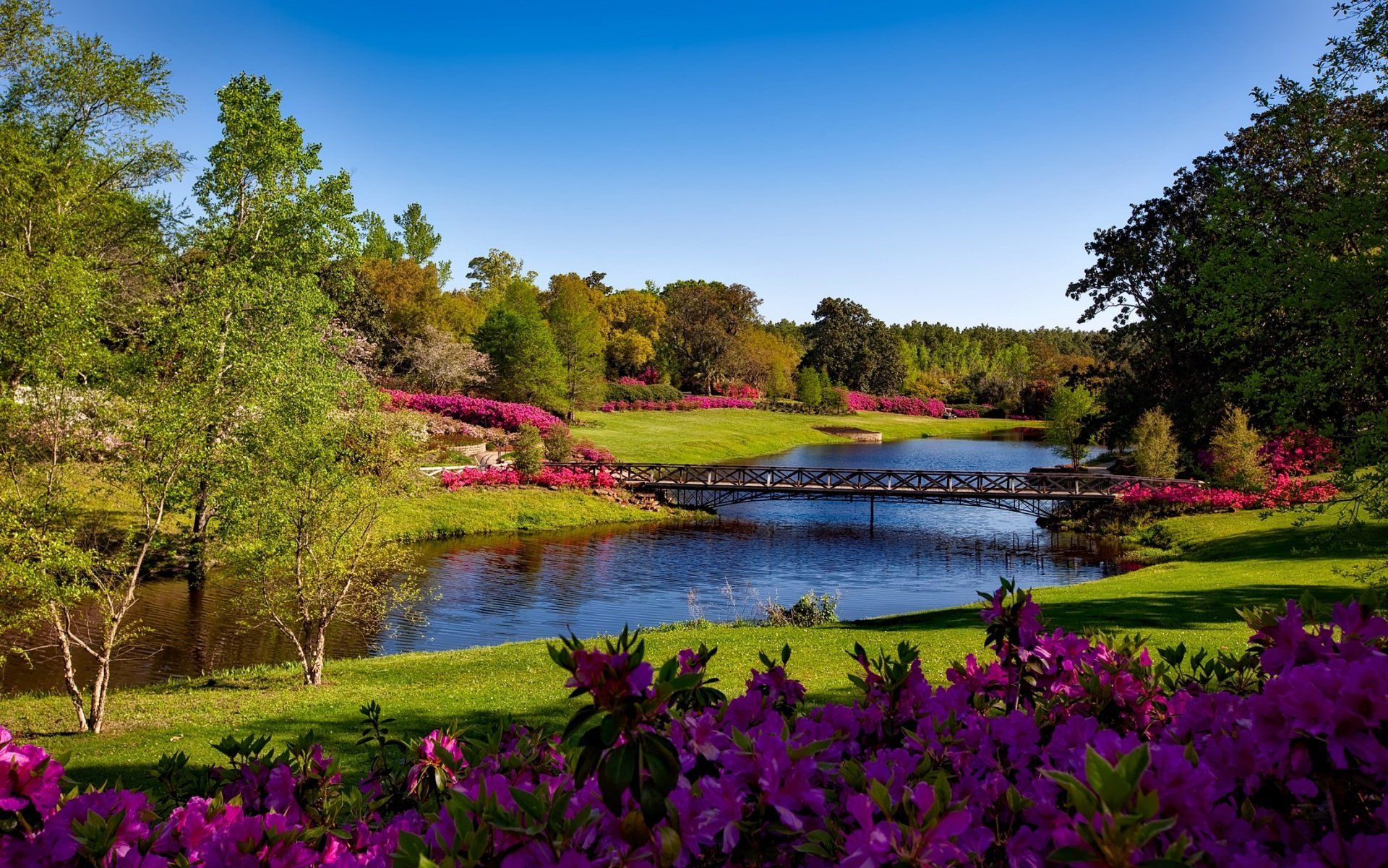 Sustainable water management for landscapes  in Round Rock