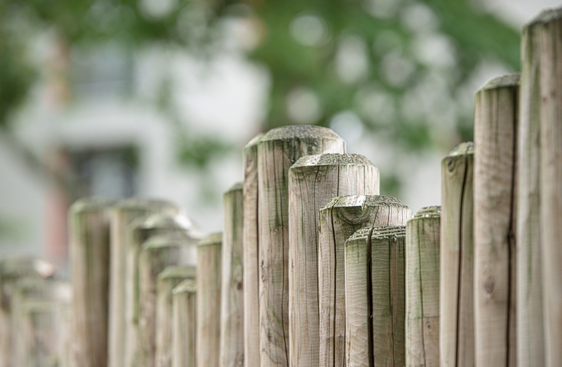 The Fencing Act