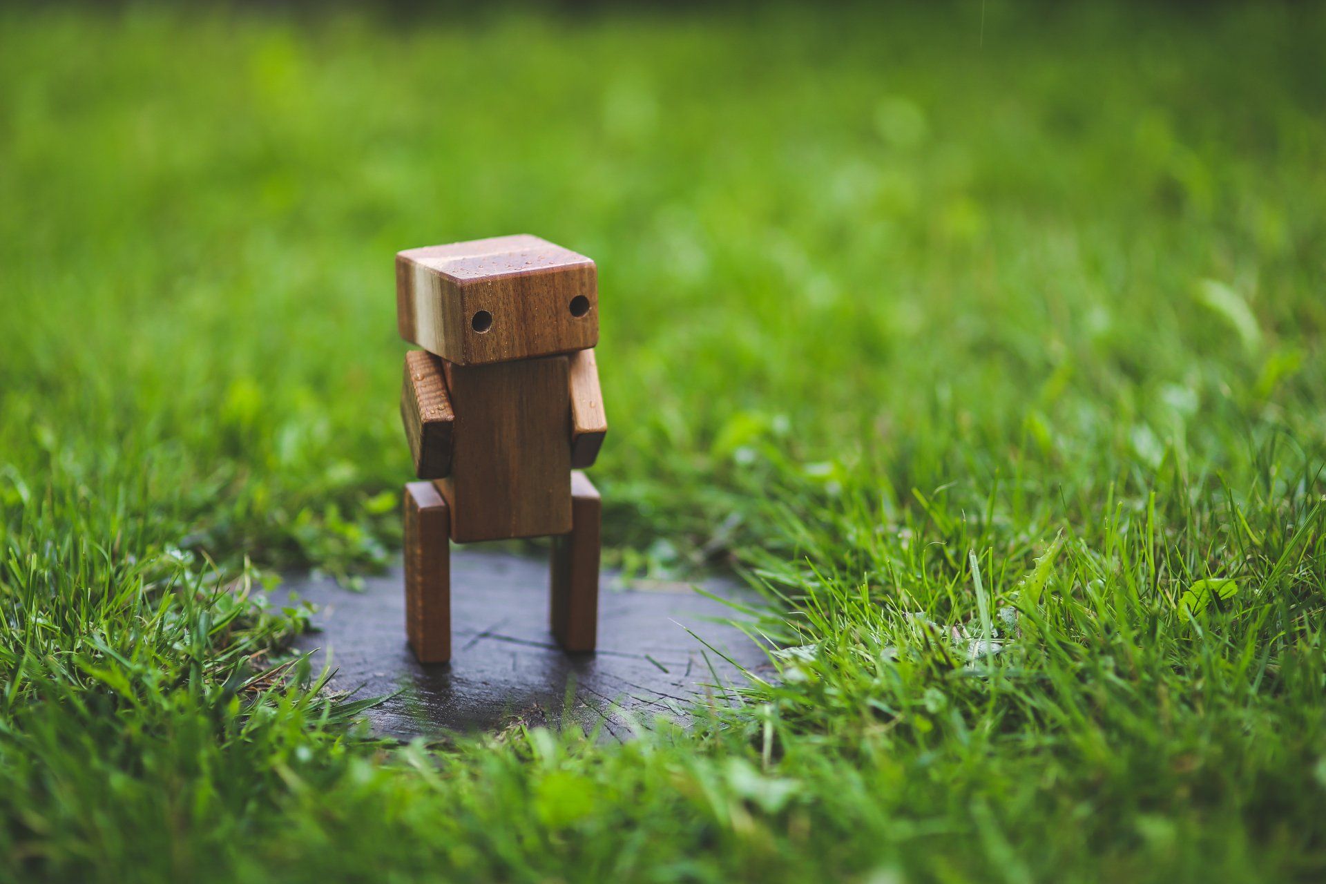 Wooden toy robot stands in a grassy area, with rain falling.