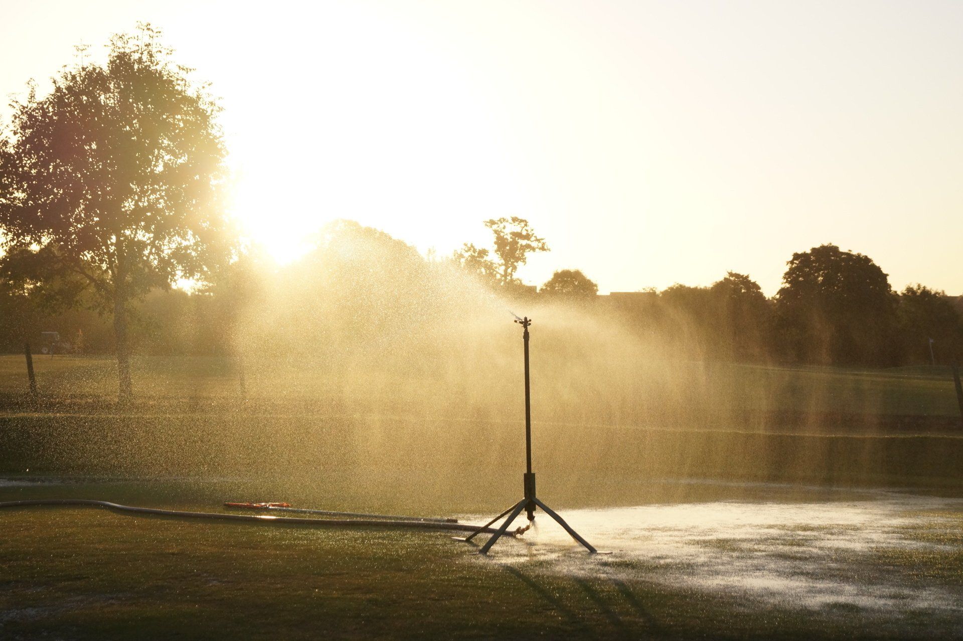 a sprinkler system in a garden