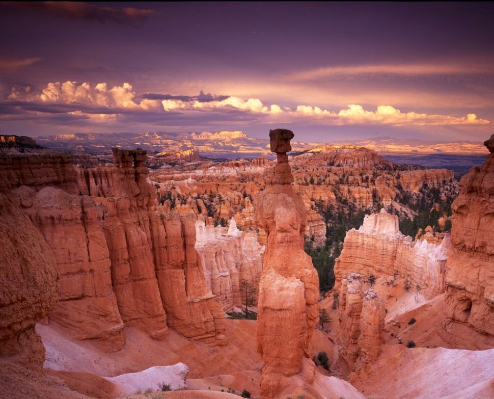 Bryce Canyon at Twilight
