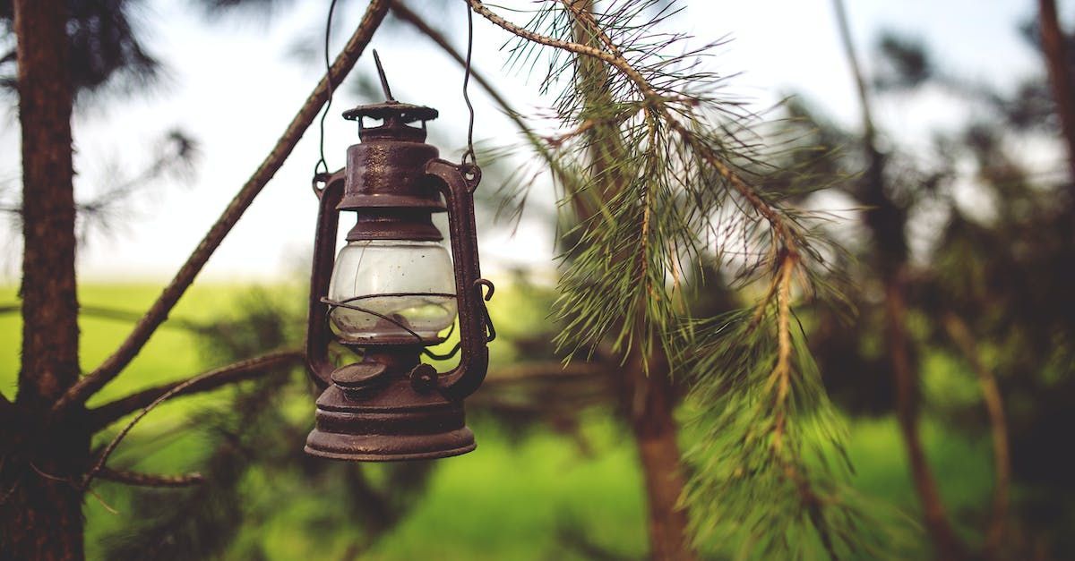 choosing landscape lighting choosing landscape lighting