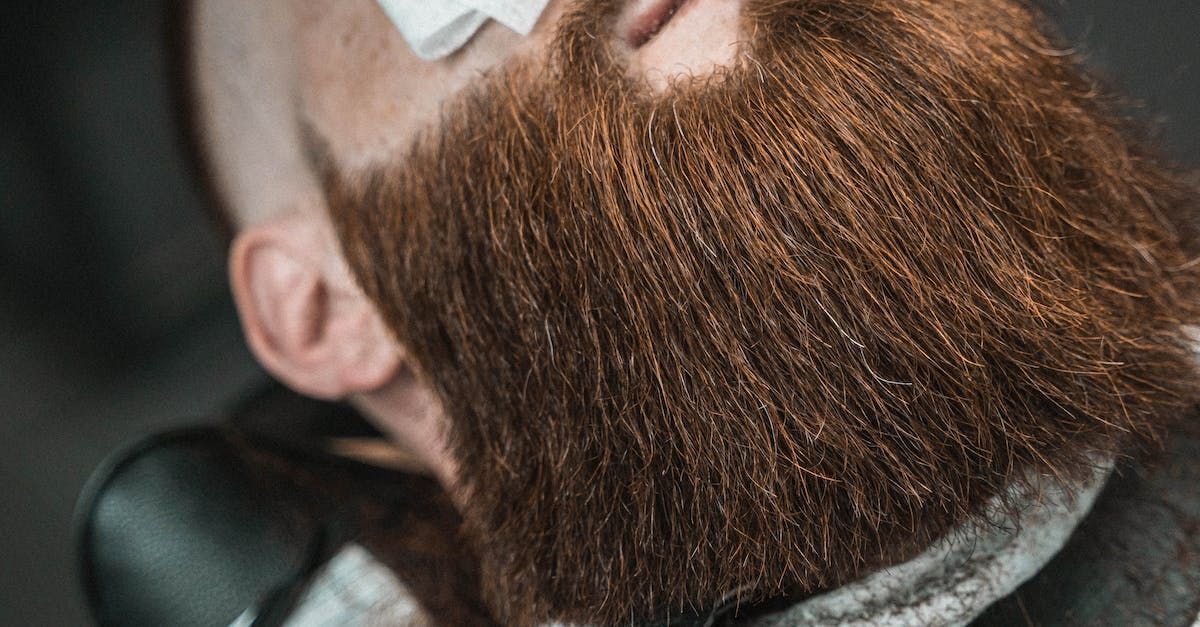 Close-up of a person with a thick, reddish-brown beard being groomed at a barber shop.