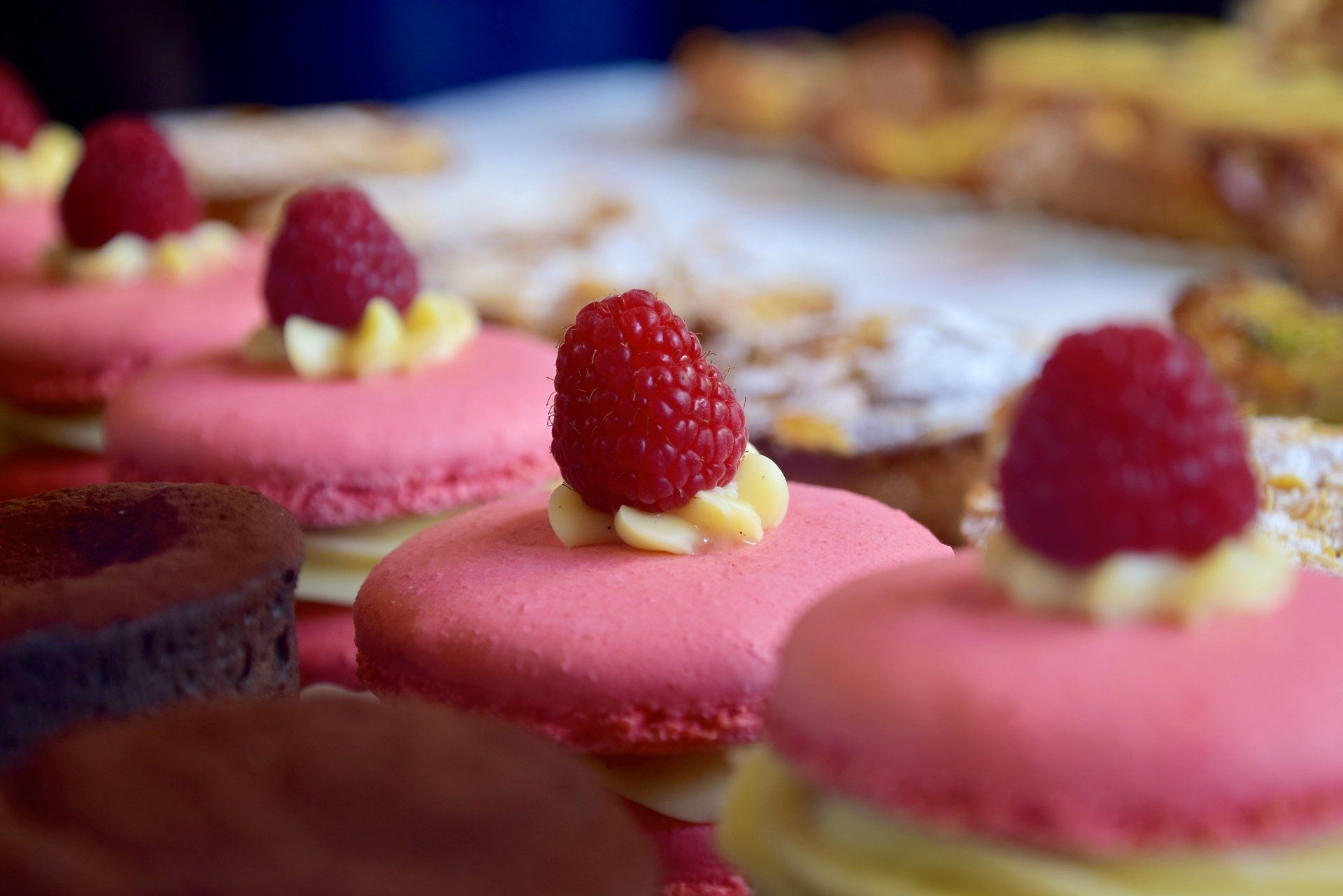 A row of pink macarons with raspberries on top on a table.