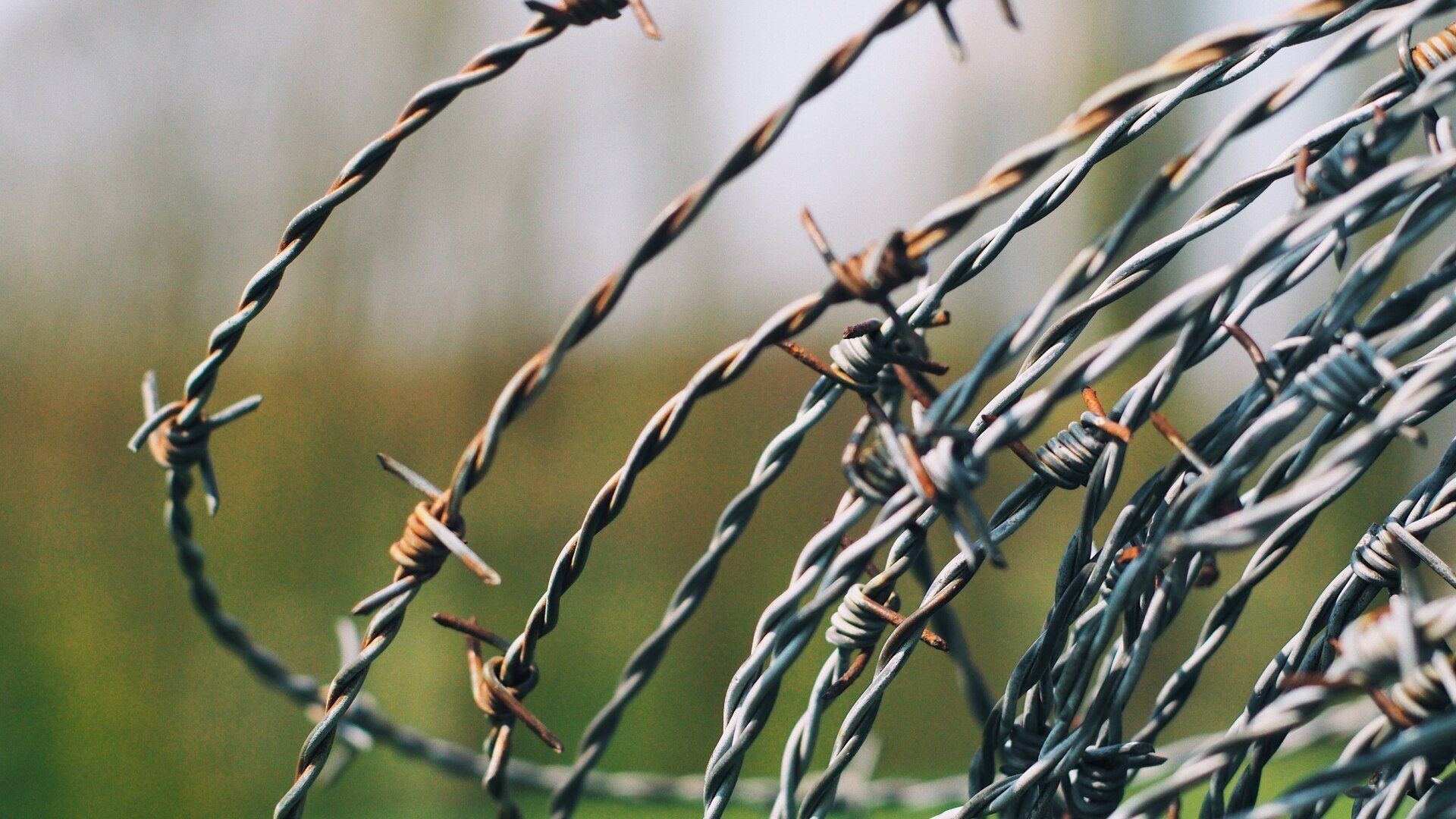 rusty barbed wires