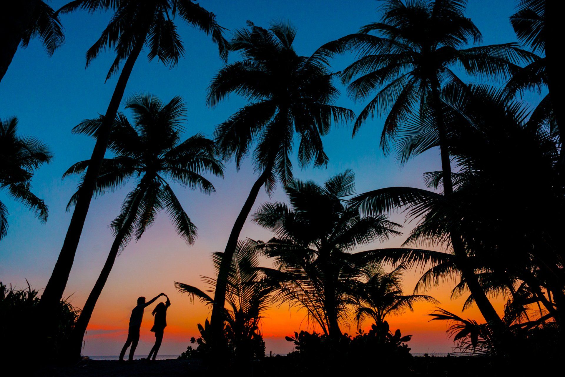 Two people are standing in front of palm trees at sunset