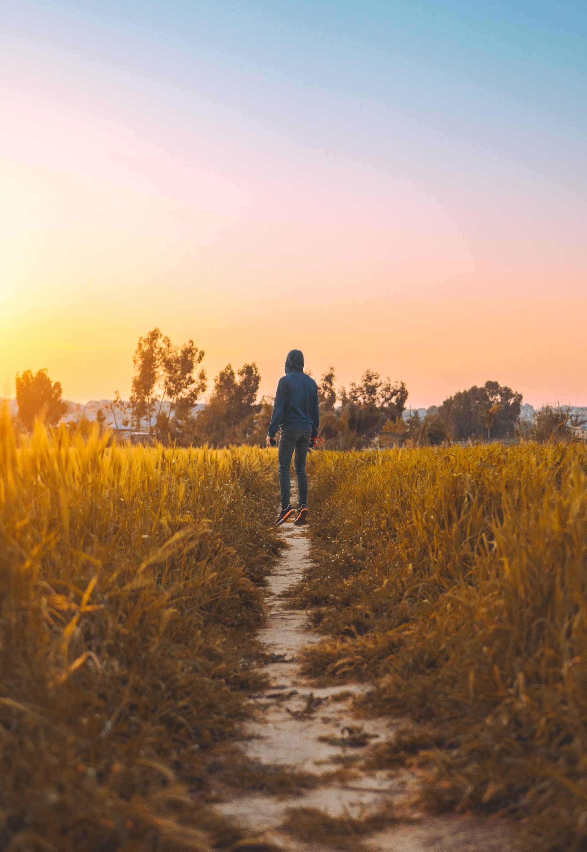 Developing awareness and embracing the feeling of decisions made with Free Will