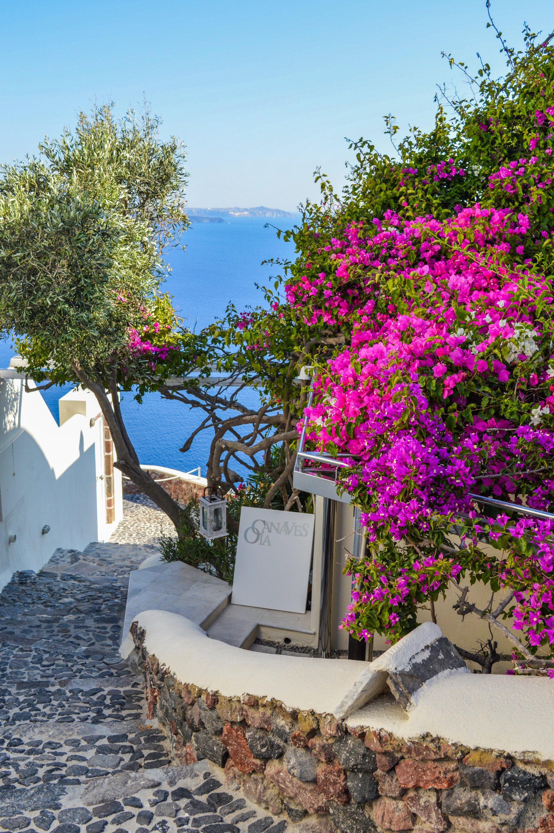 A narrow alleyway with purple flowers and a view of the ocean.