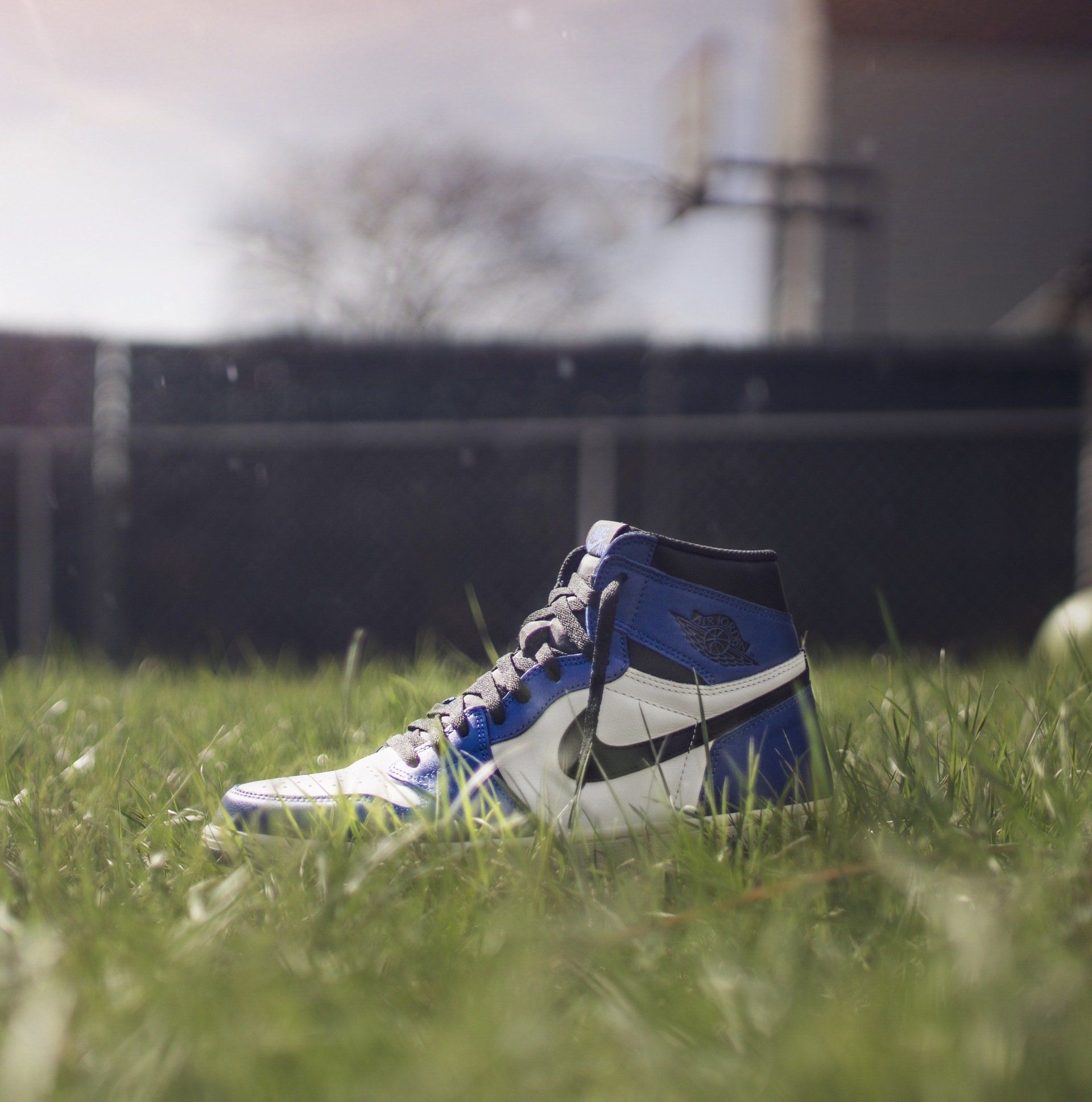 A blue and white nike shoe is sitting in the grass.