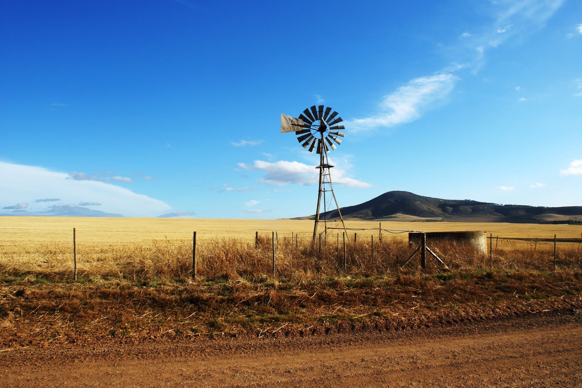 A windmill in the middle of a field with a mountain in the background