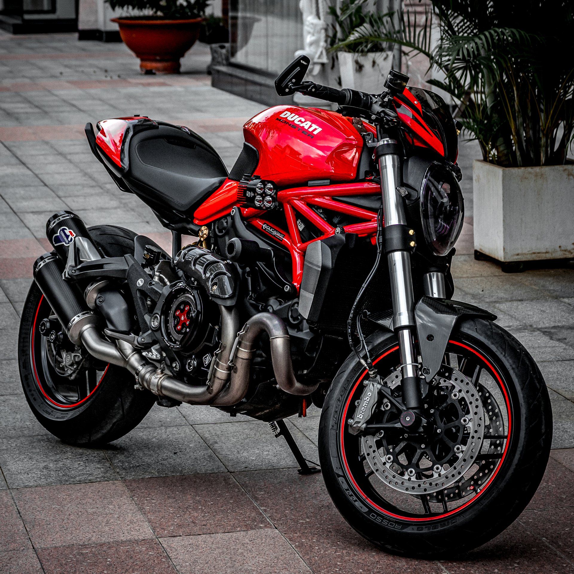 Motul Bike Oils