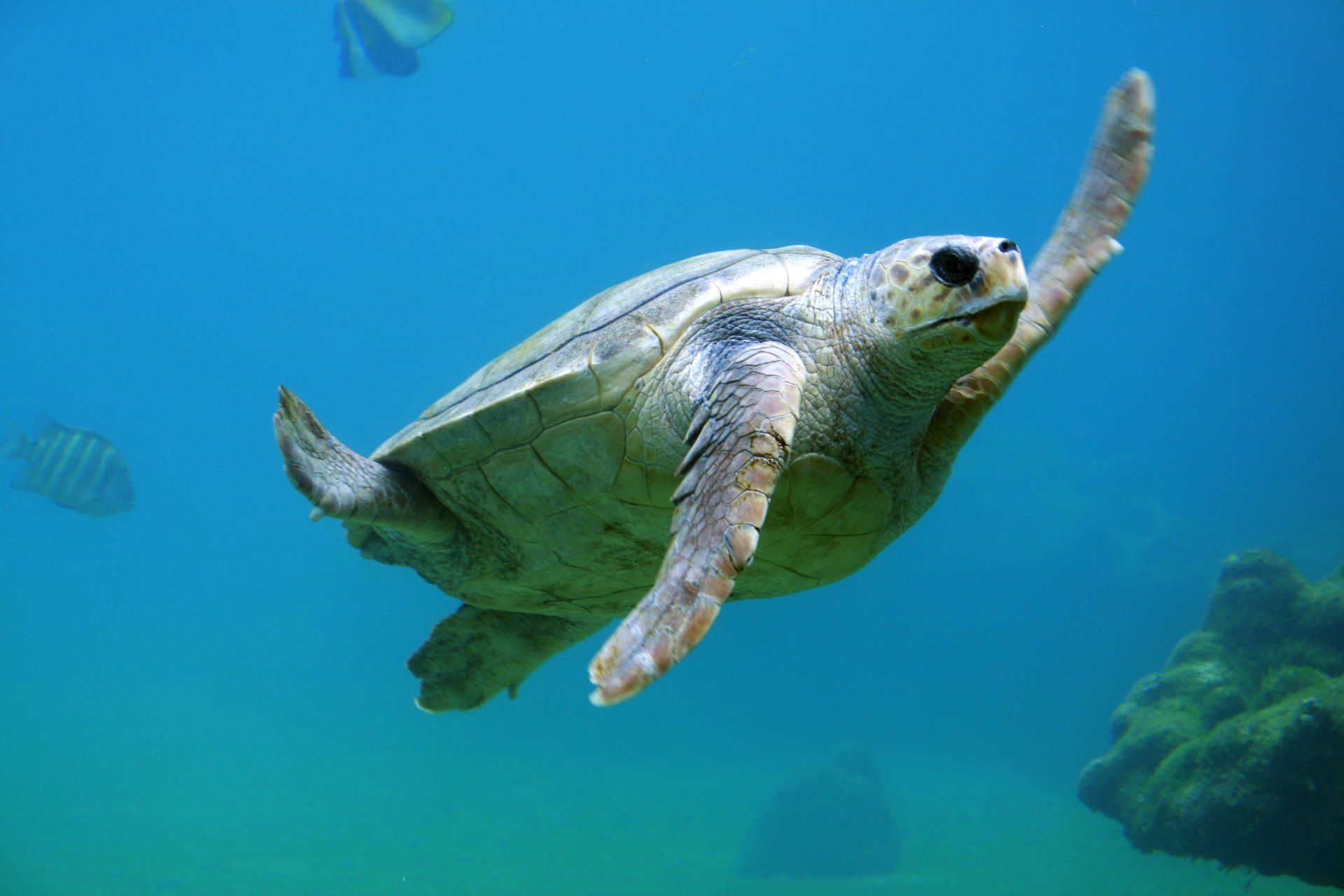 Hurghada Excursions