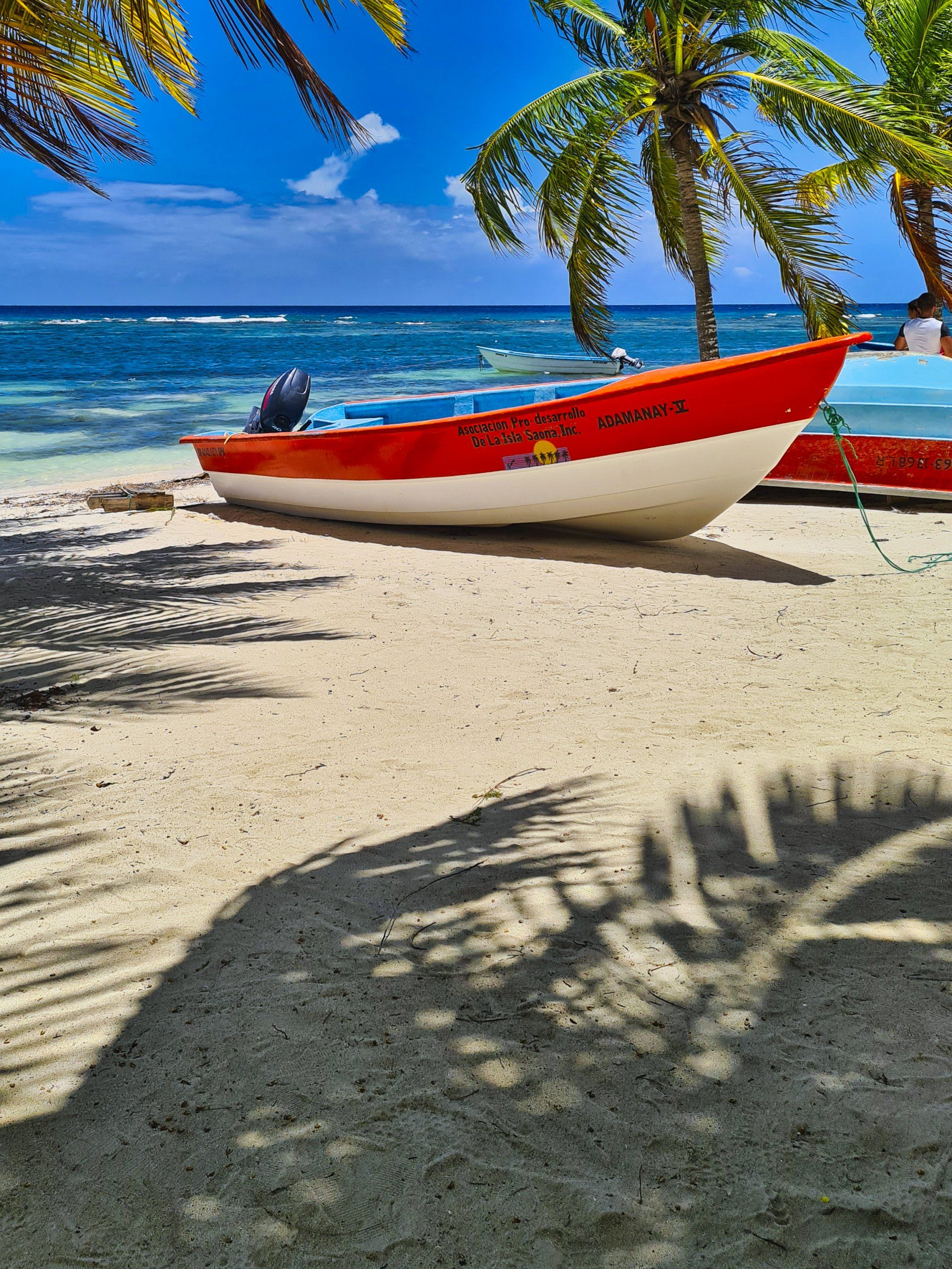 A red and white boat on a sandy beach with a palm tree in the background
