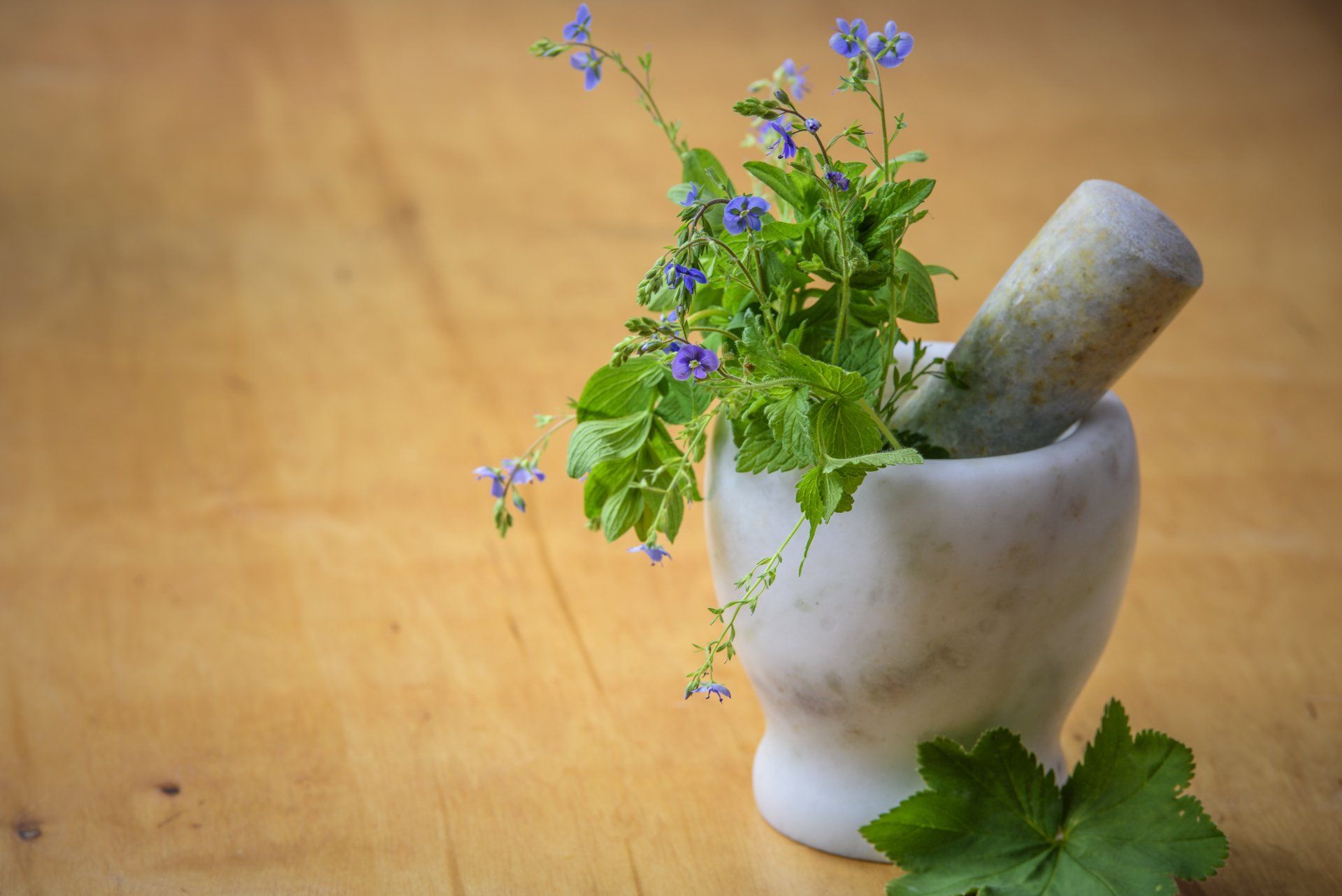 Infertility Herbal Treatment in West Palm Beach, FL
