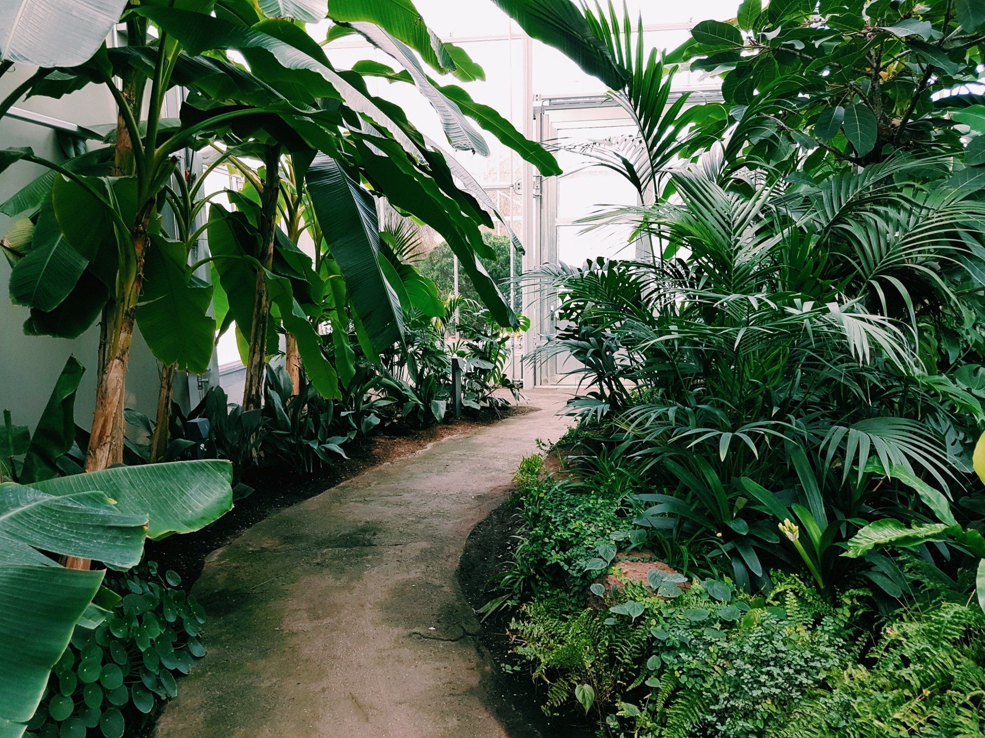 cura del verde, consulenza gratuita, piante da ufficio, arredo giardini, arredo terrazzi, arredi uffici milano