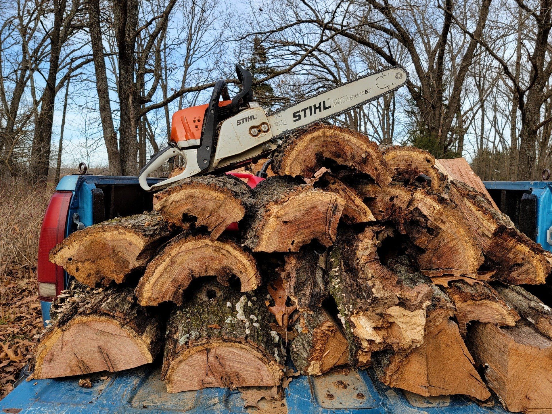 Tree Service Indianapolis