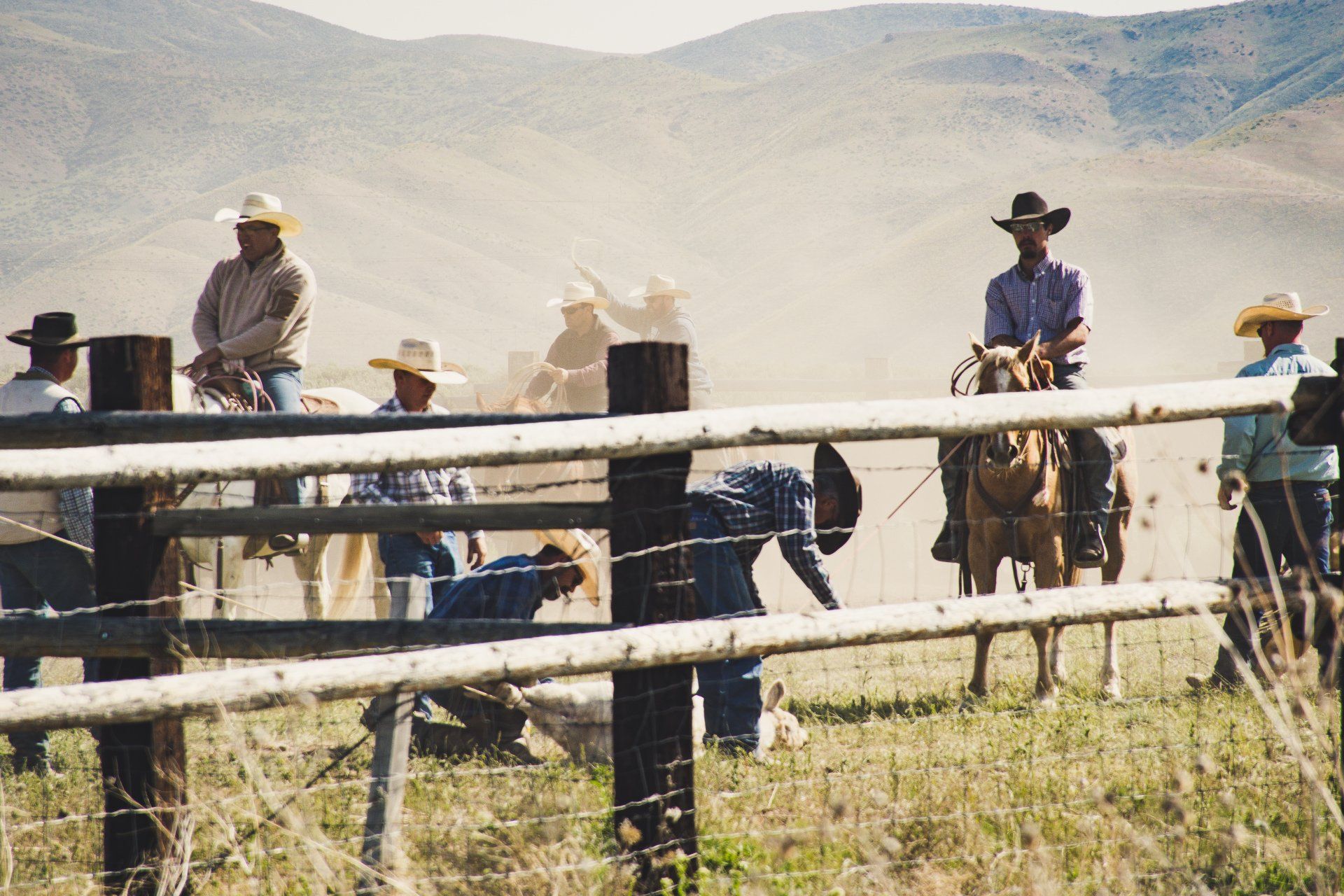 Cowboys on horseback and ground level, working with cattle in a dusty field near a fence and mountains.
