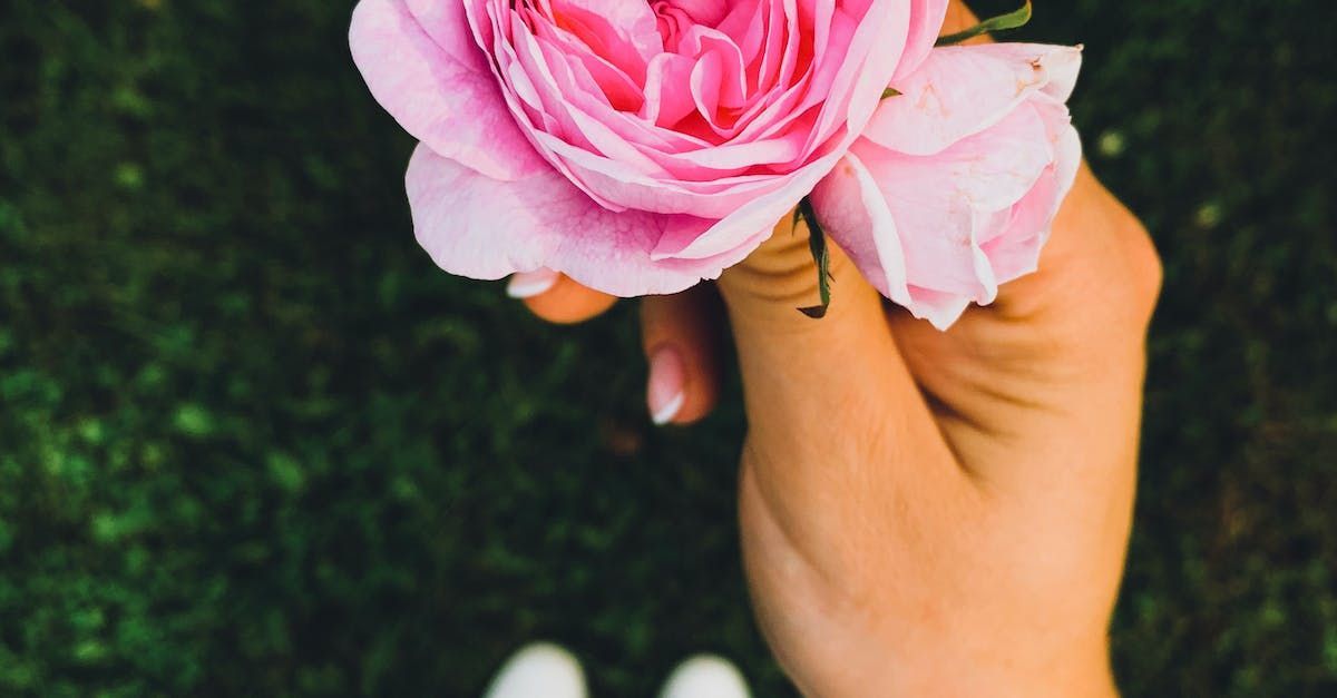 A Influência da Estética Íntima na Autoestima Feminina: Uma Perspectiva Reveladora