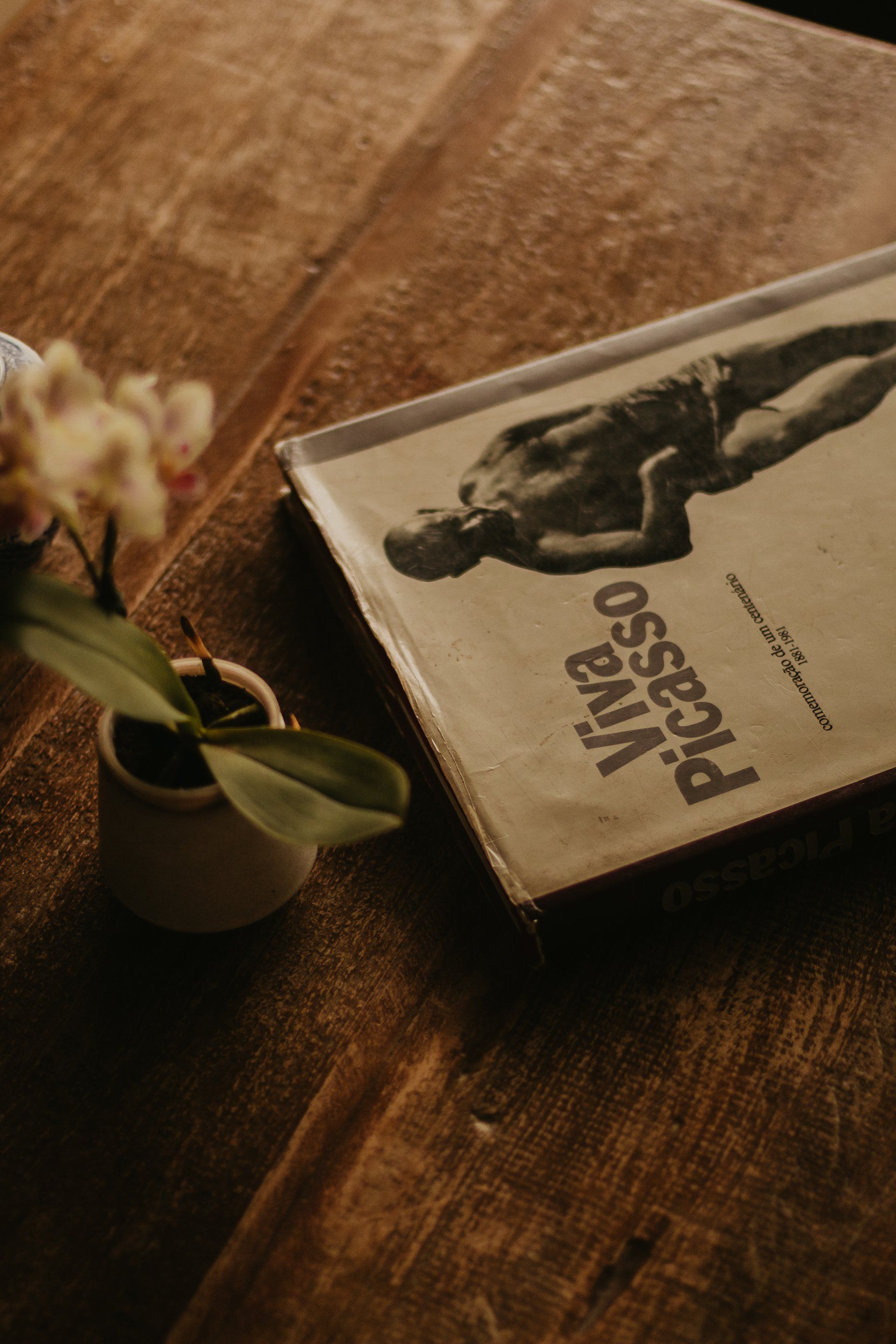 A book is sitting on a wooden table next to a potted plant.