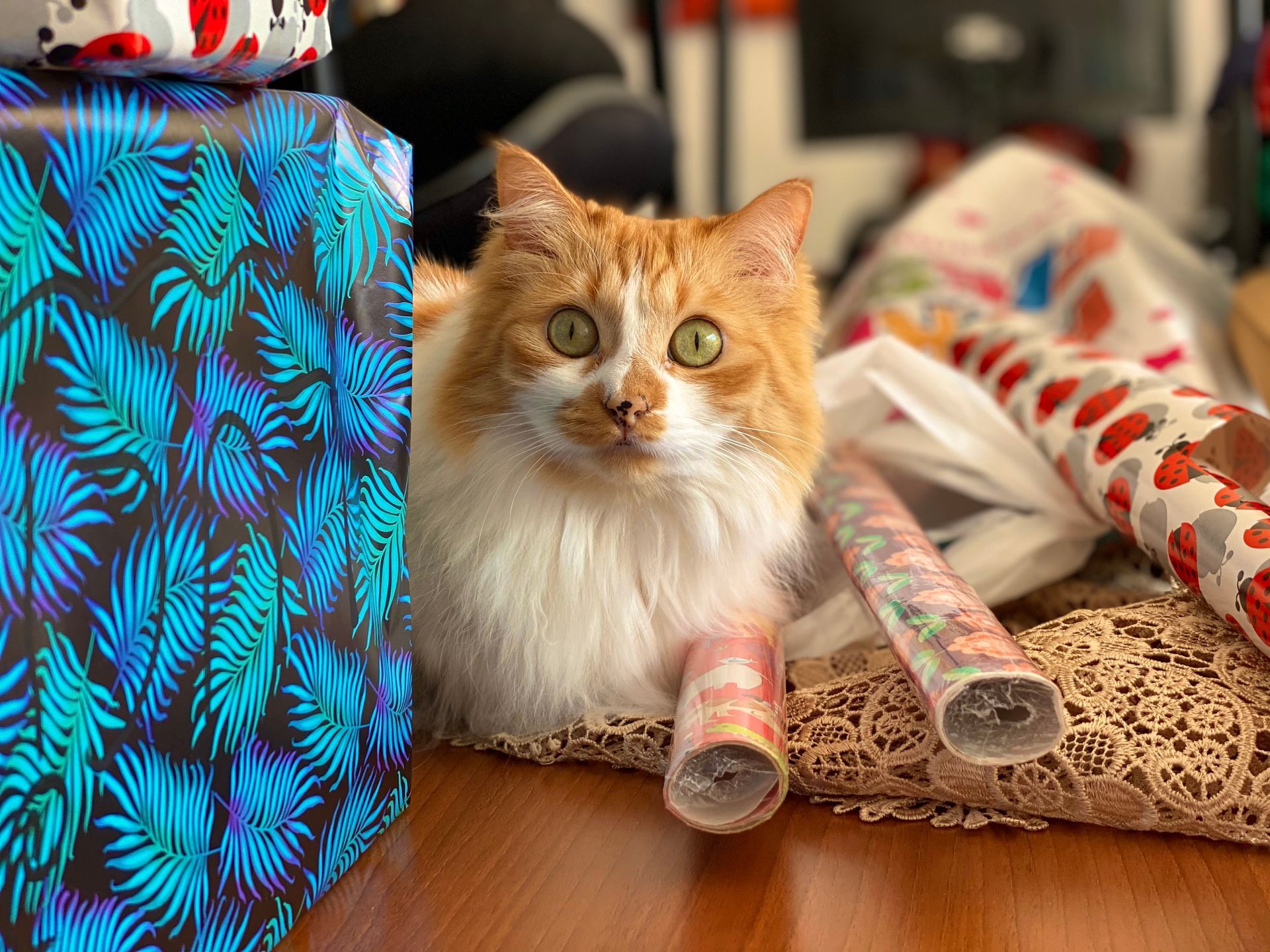 An orange and white cat is laying on a pile of wrapping paper.