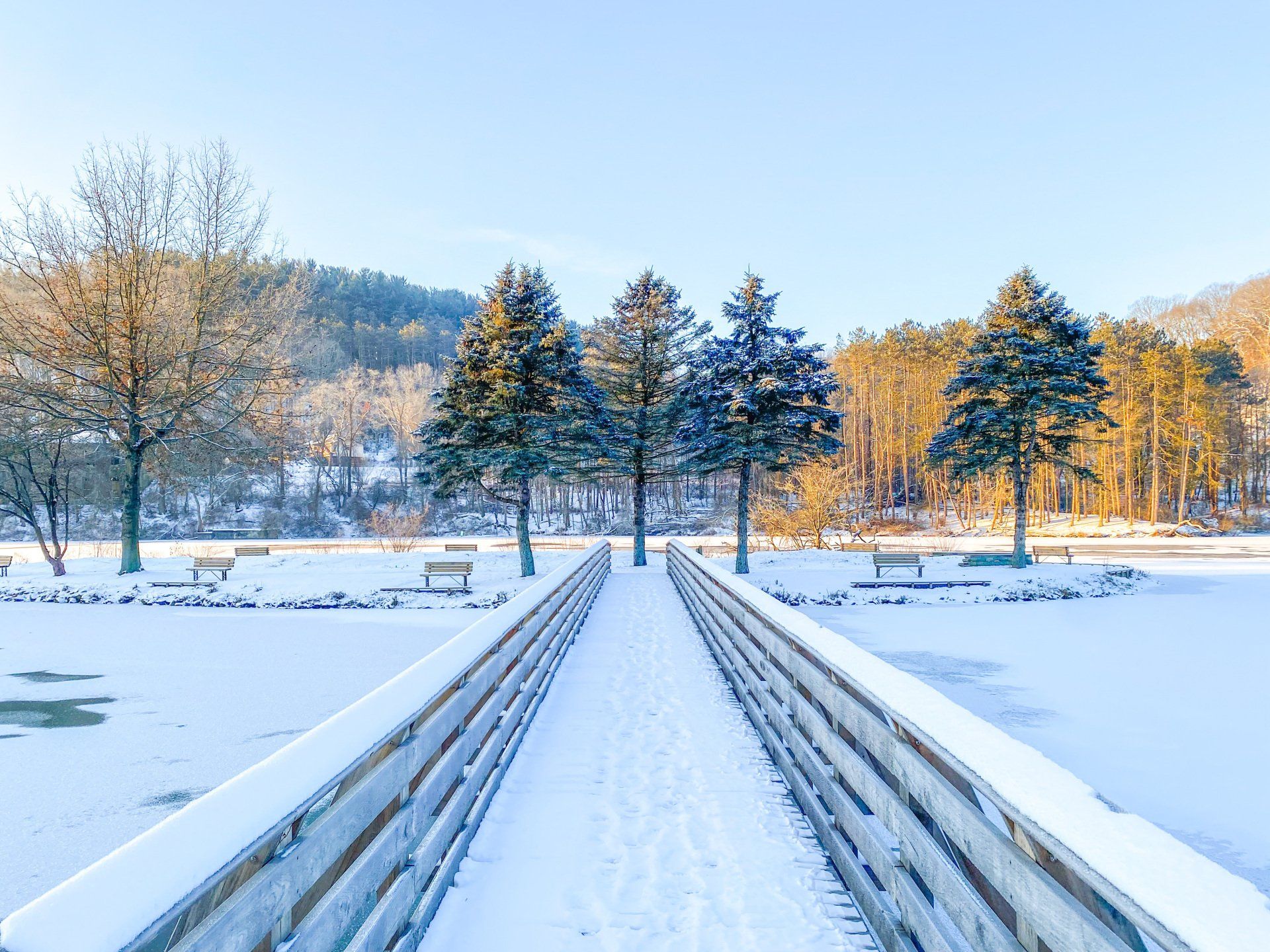 Looking back at January and how to review and reflect and create positive sustainable change .