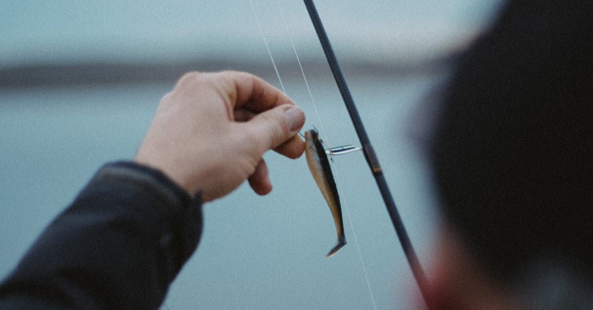 fishing tackle