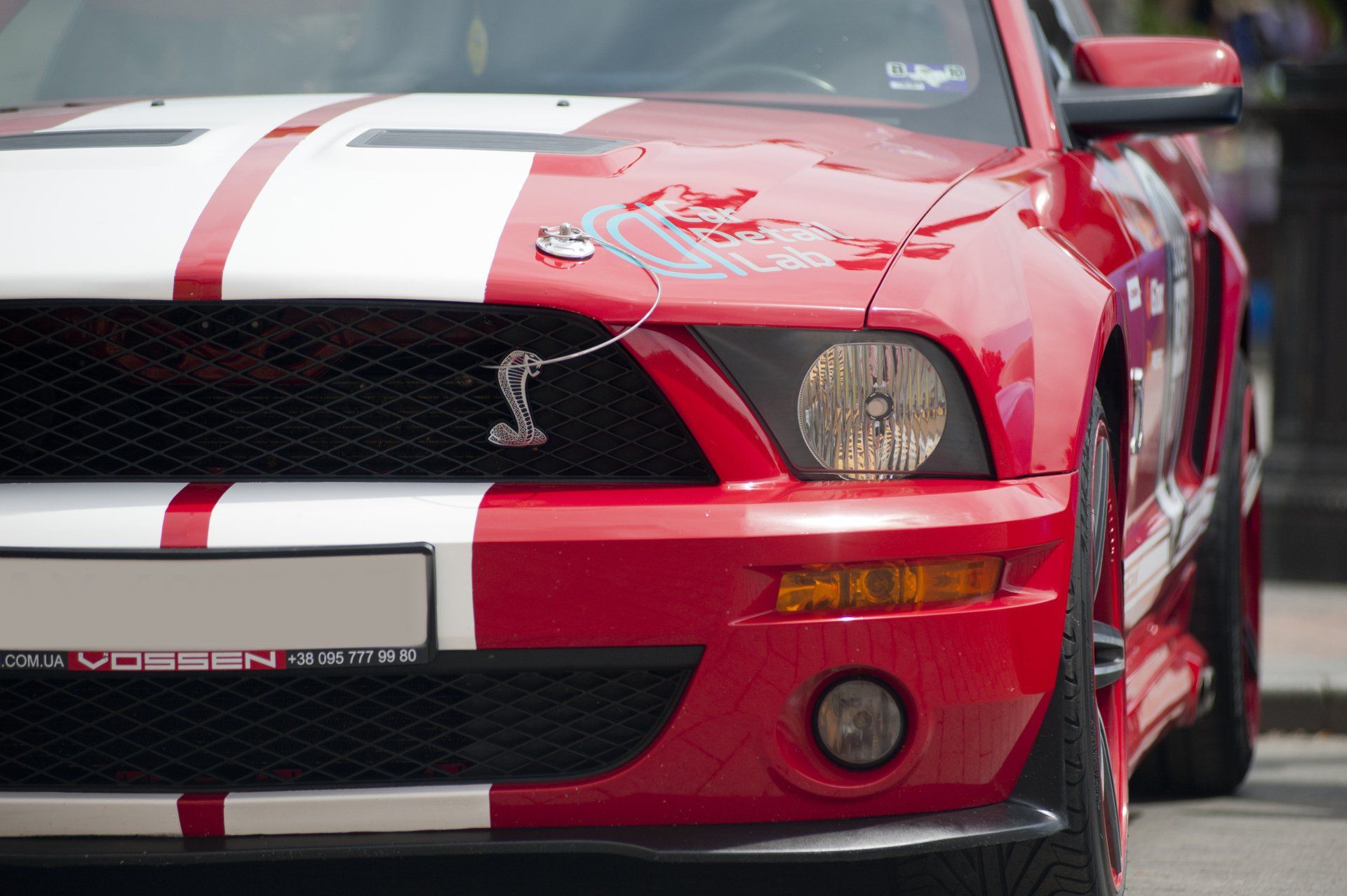Rally stripes vinyl