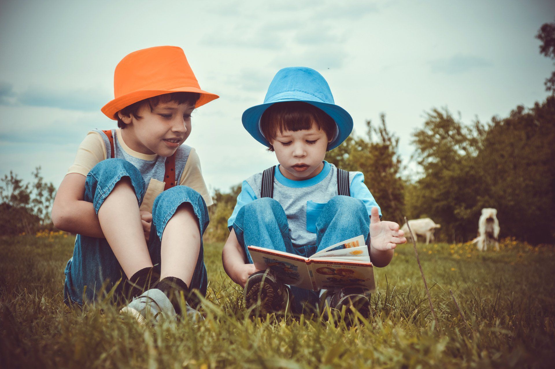 Two children wearing colorful hats sit in a grassy field, focused on reading a book together.