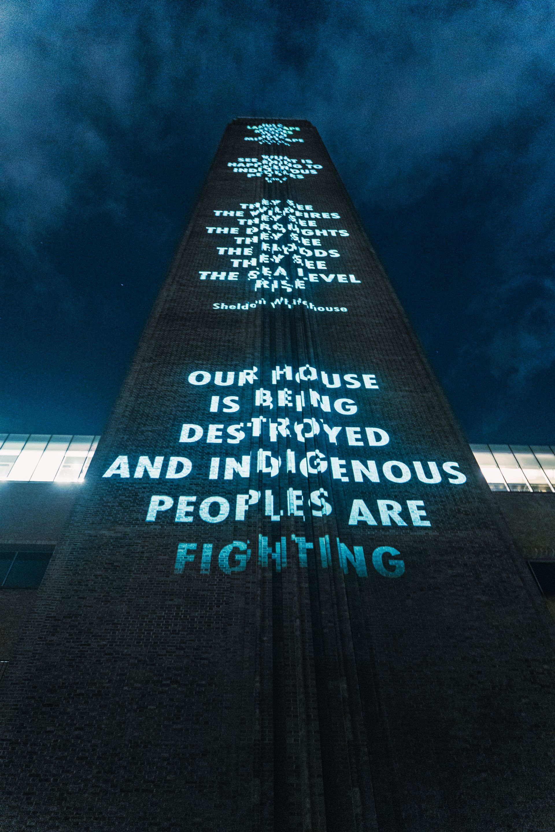 NFTs, Jenny Holzer, Kittiwake, Nathalie Aqualti Bonisoli