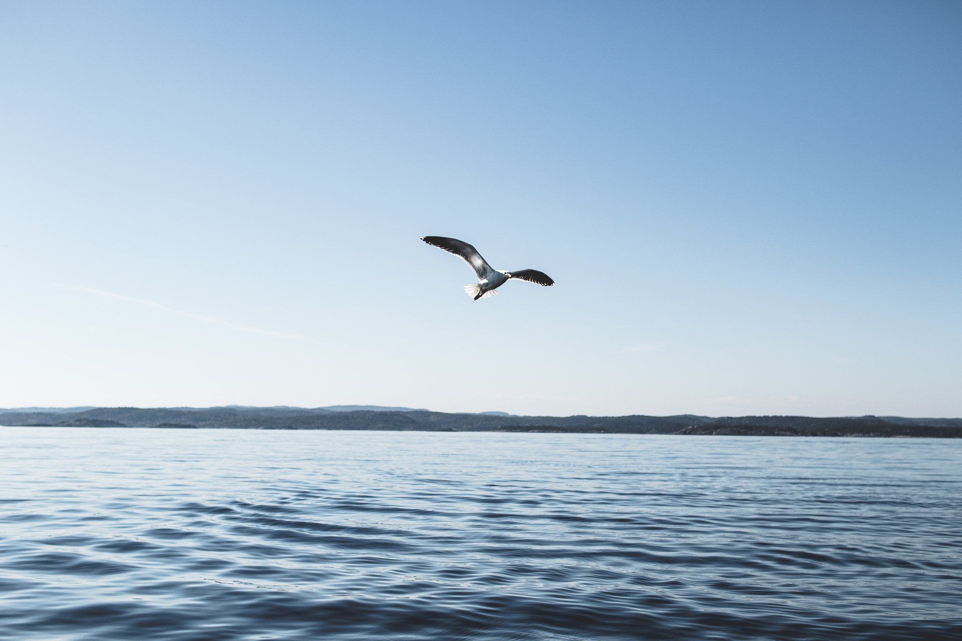 Befreie dich aus dem Gefängnis falscher Gedanken und finde wahre Freiheit. NLP - Befreie dich aus dem Gefängnis falscher Gedanken und finde wahre Freiheit. Entdecke transformative Methoden für persönliches Wachstum.