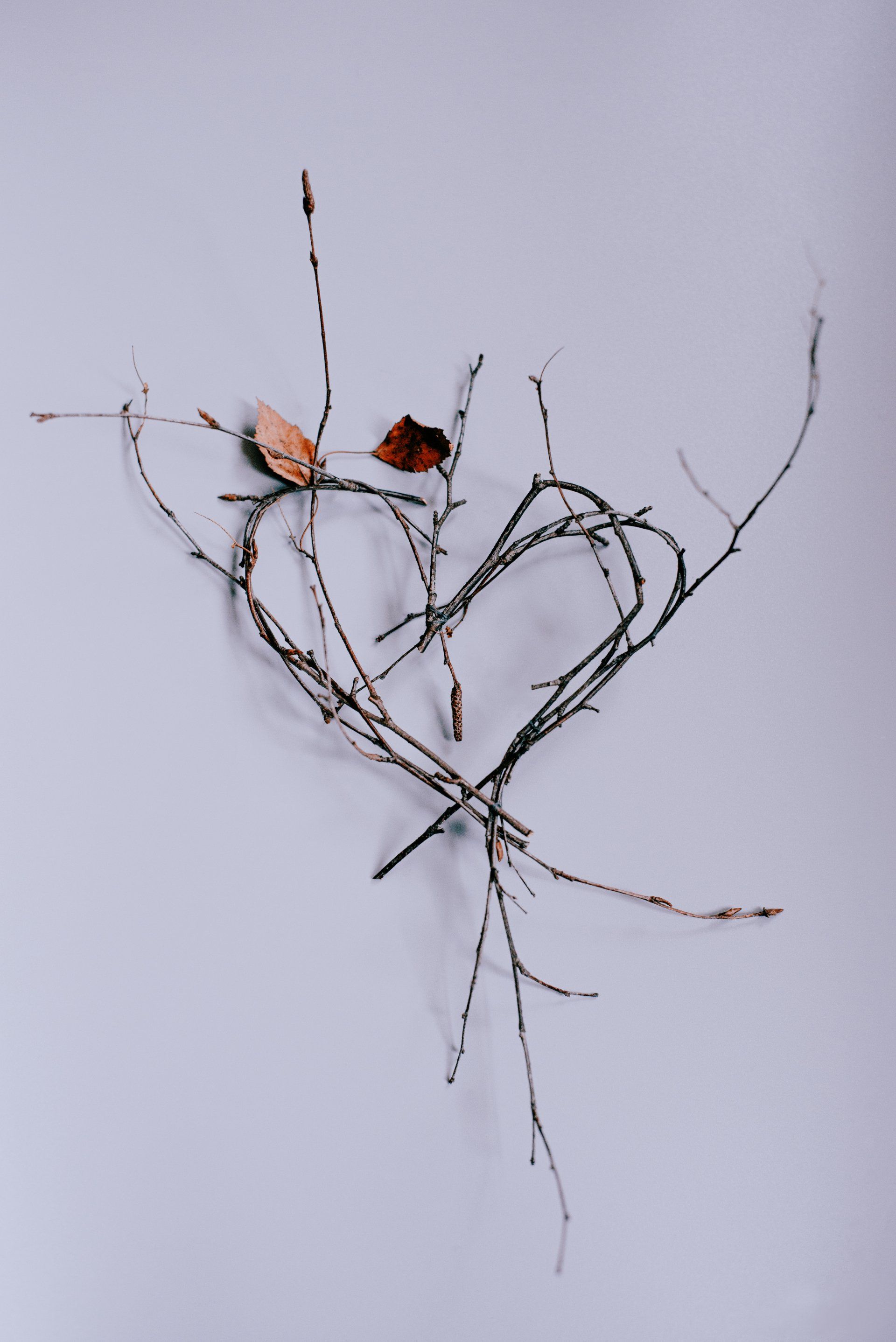 Spending Time In Nature by Sue Cartwright, Spiral Leaf