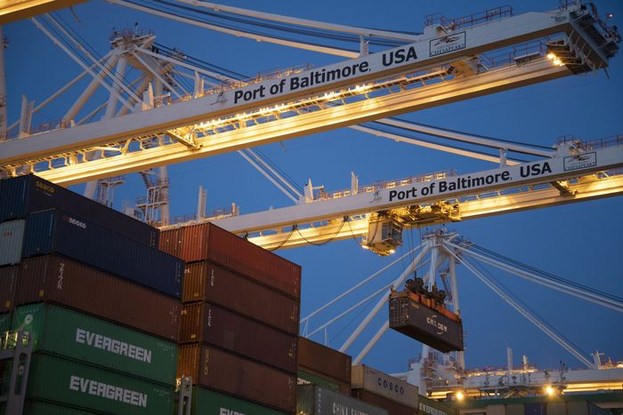 Cranes at the Port of Baltimore lifting a container, with stacks of shipping containers, dusk.