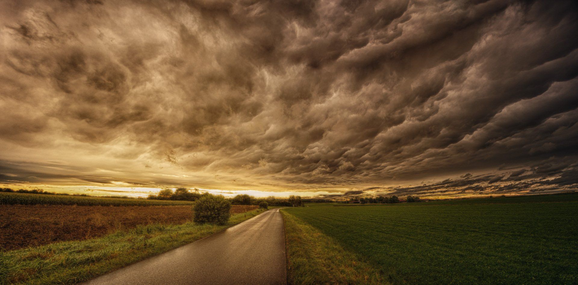 A road going through a field with a cloudy sky in the background.