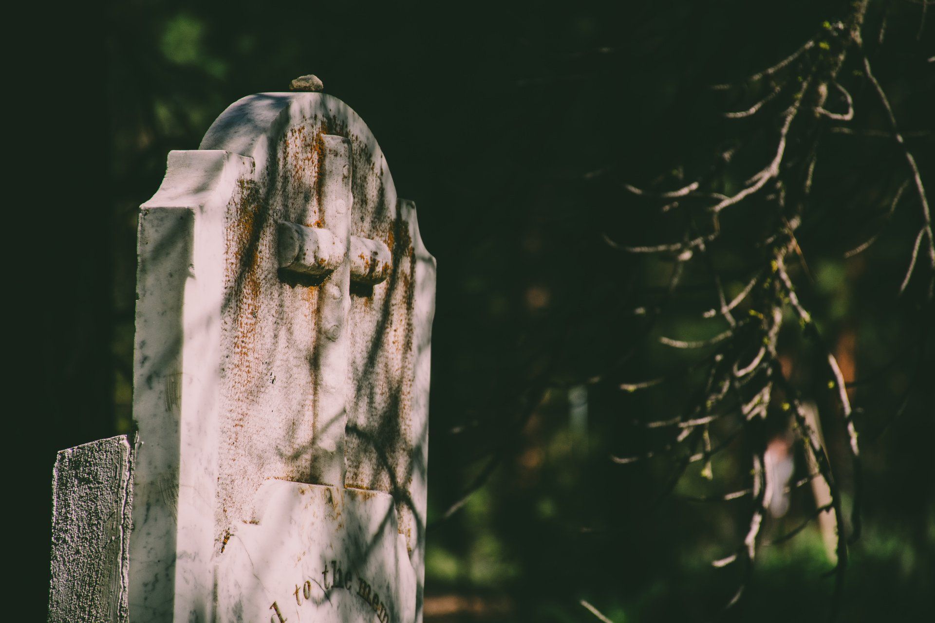 Ein Grabstein auf einem Friedhof mit einem Baum im Hintergrund.