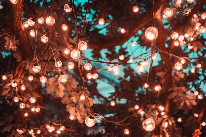 A bunch of lights are hanging from a tree.