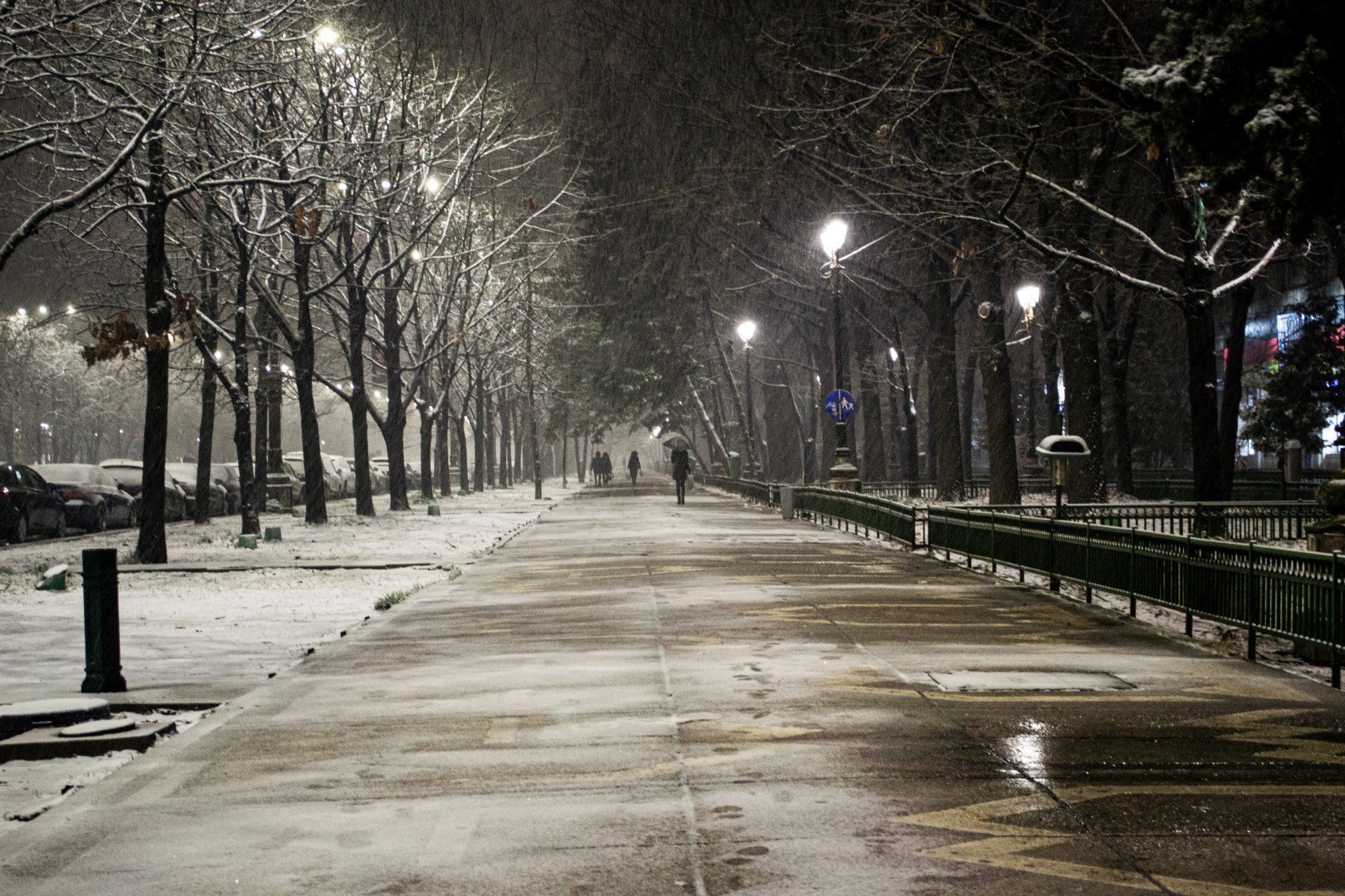 Snowy night scene of a long pathway lined with trees, streetlights, and a few distant figures.