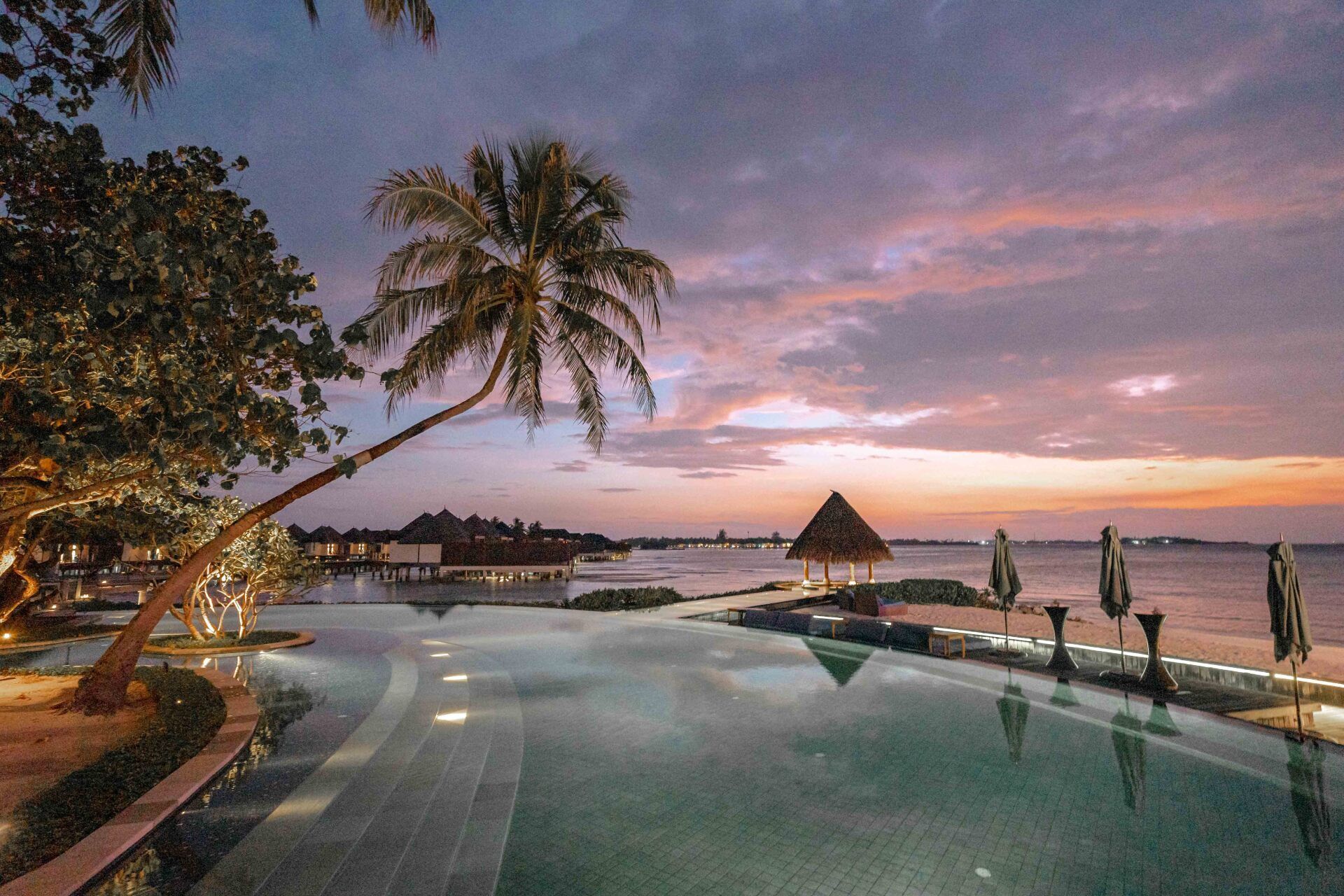 A swimming pool with a palm tree in the foreground and a sunset in the background