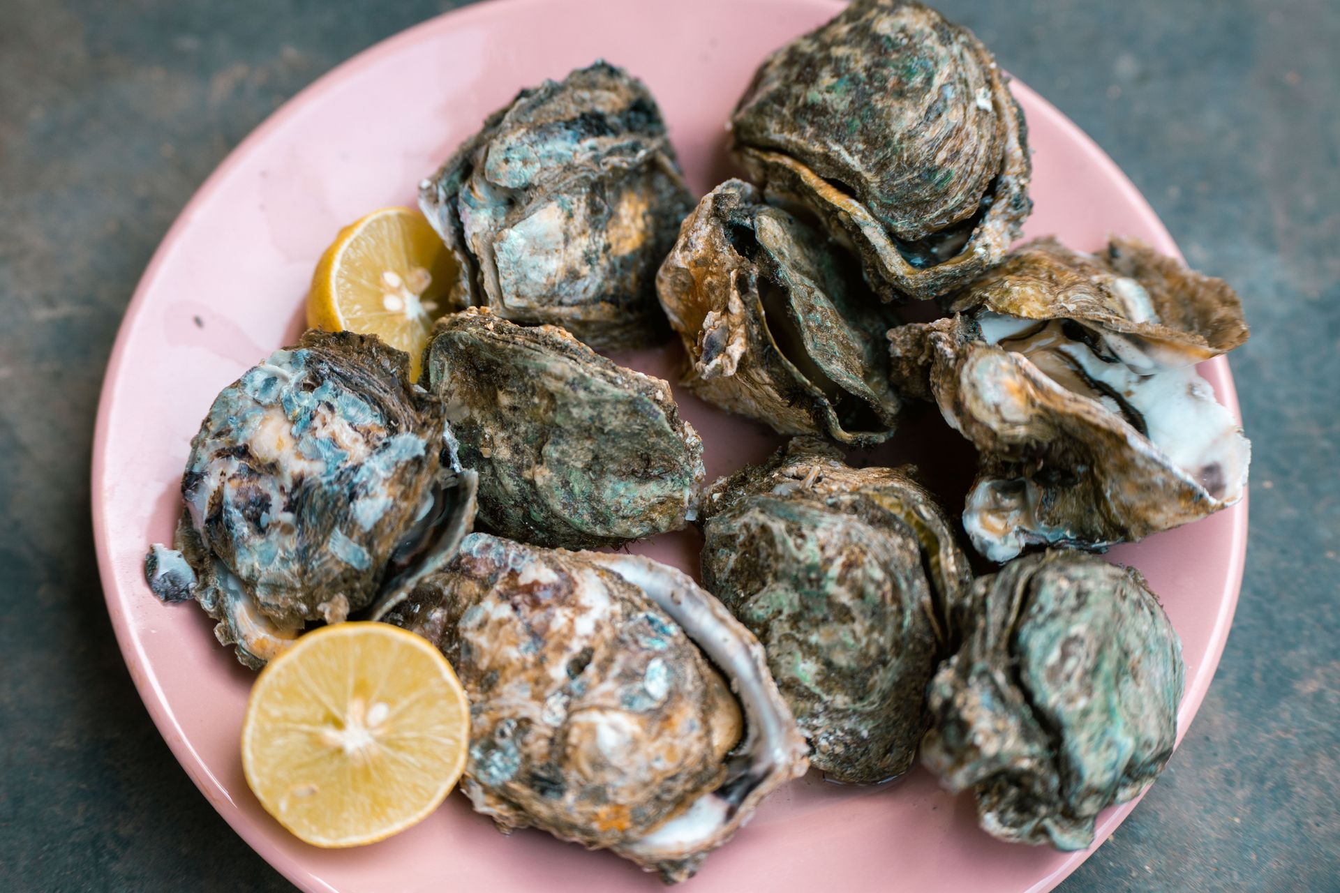 Zeeuwse oesters Zeeuwse oesters