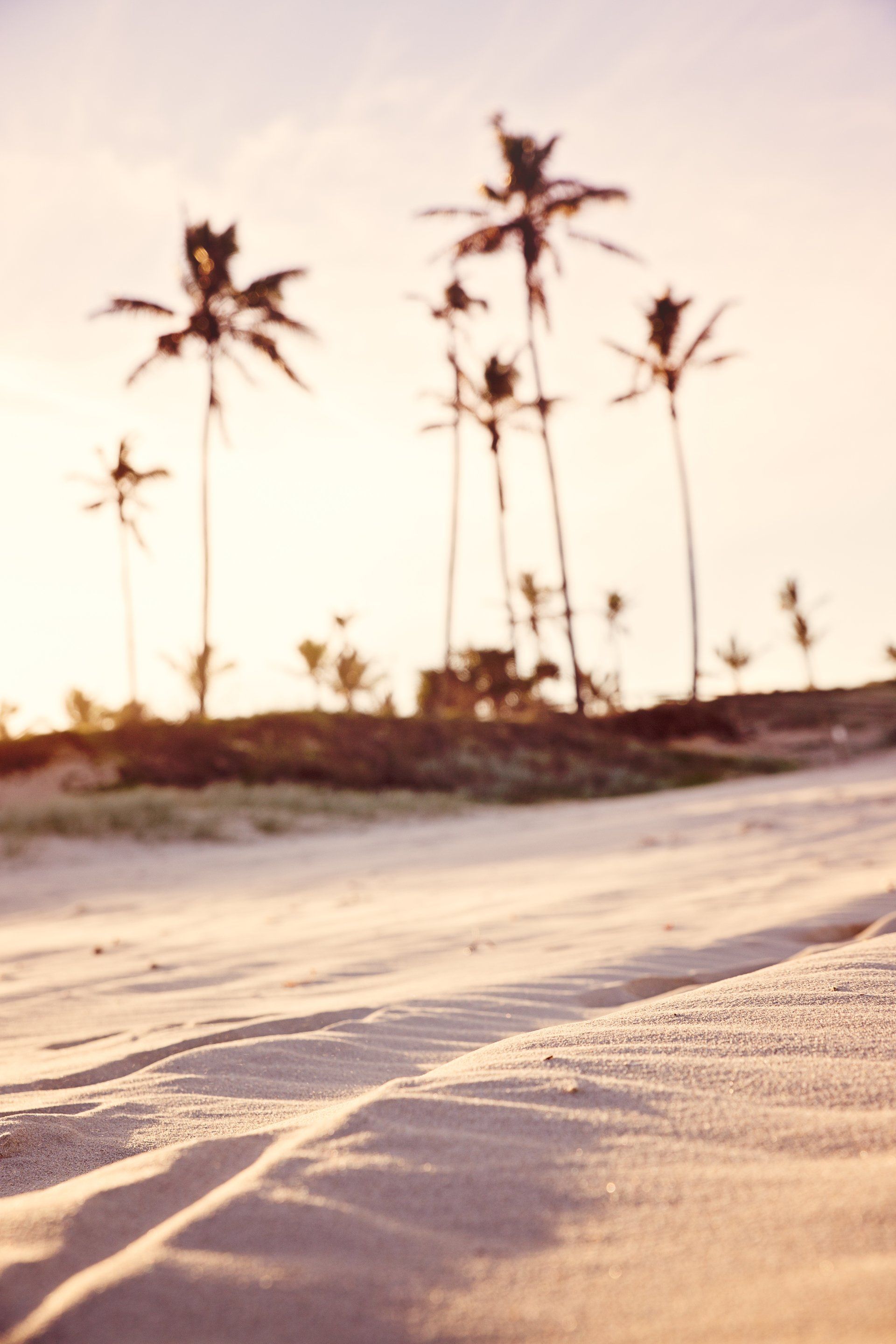 Beach photo