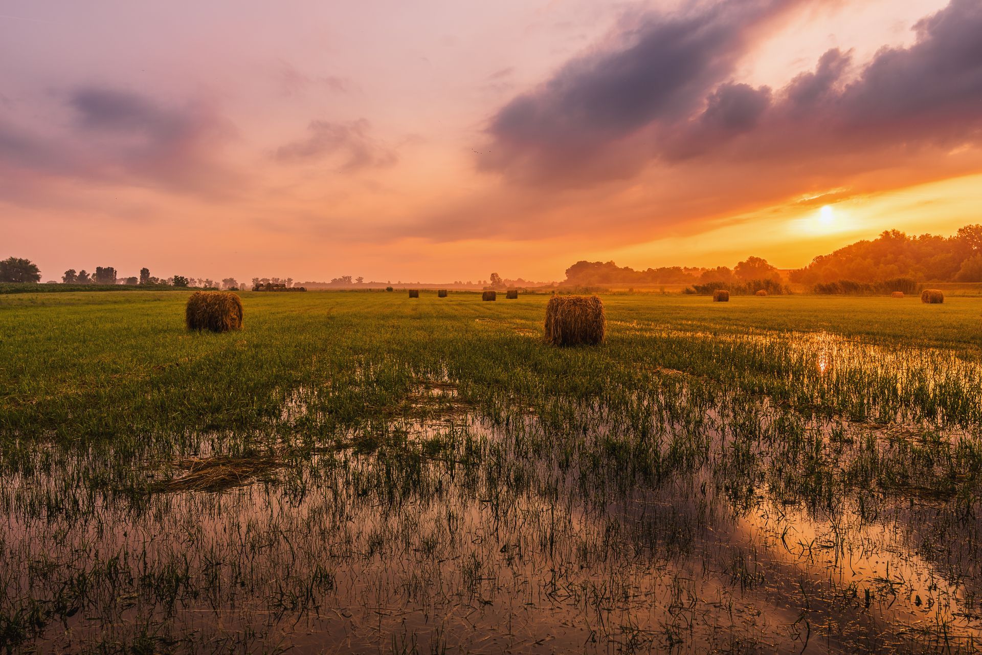A flooded field with hay bales in the foreground and a sunset in the background.