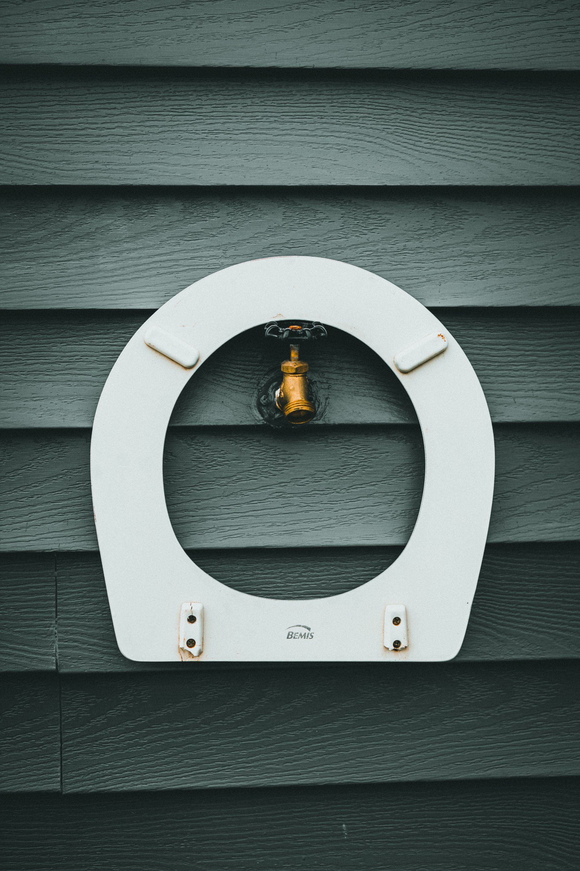 toilet seat