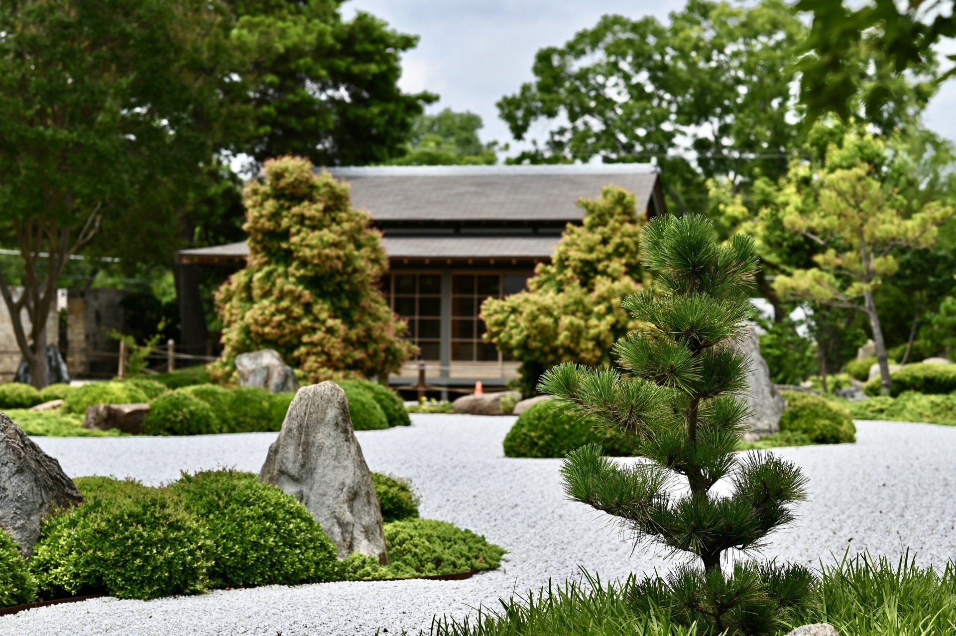 zen-trädgård