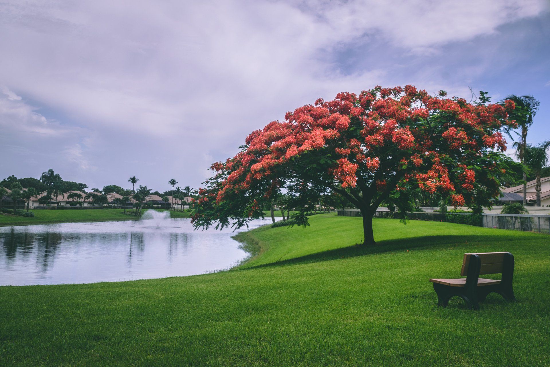 Statesville Lawn Care Services
