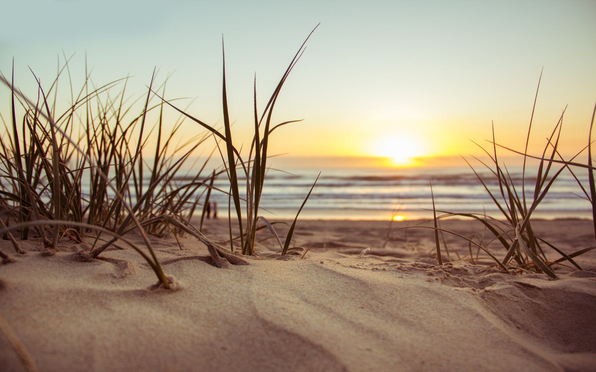 A sunset over a sandy beach with tall grass in the foreground.