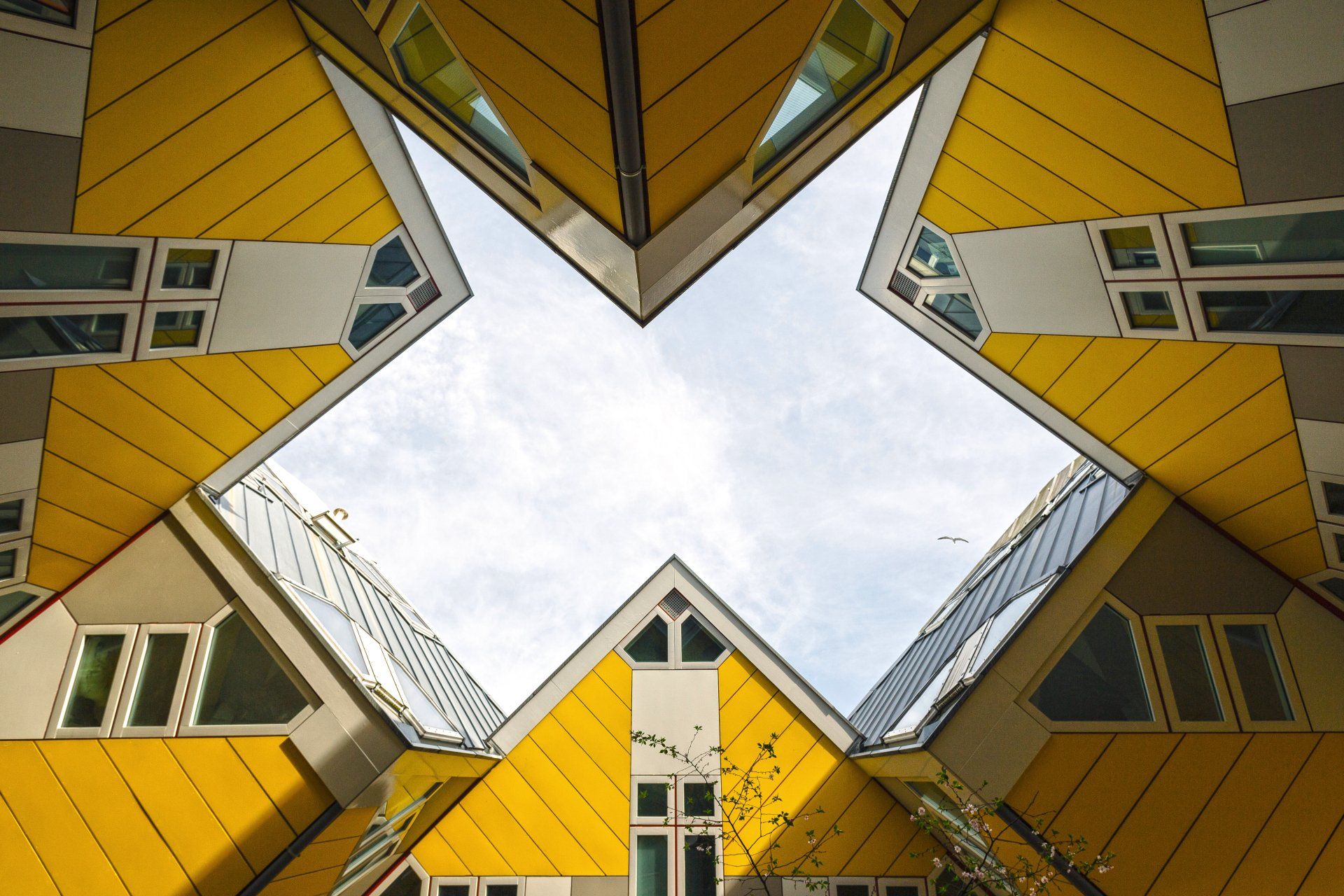Rotterdam stockphoto