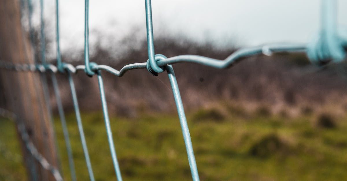 Chainlink fence | Bristol Fencing