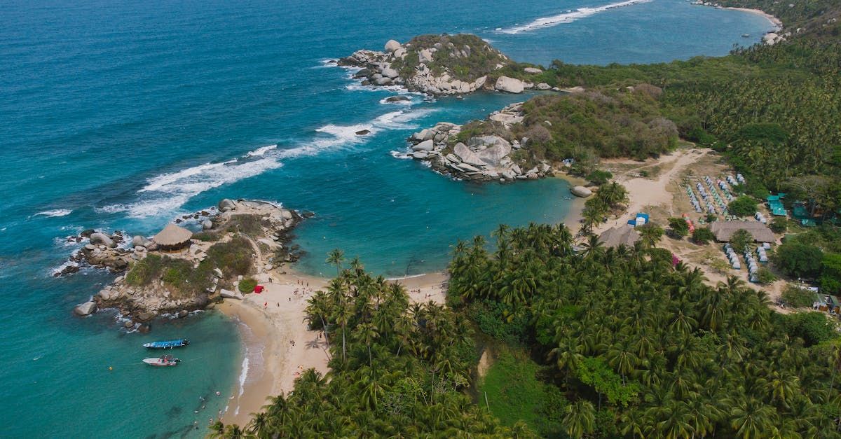 Una vista aérea de una playa rodeada de árboles y un cuerpo de agua.