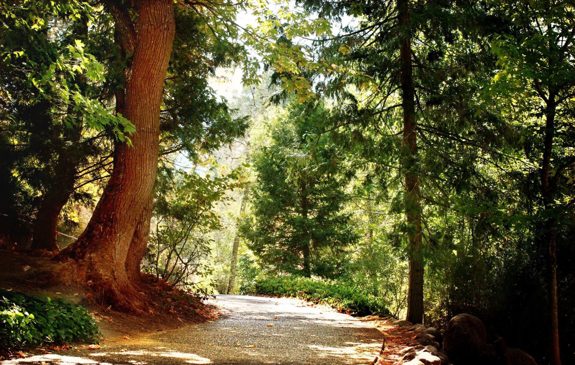Pathway