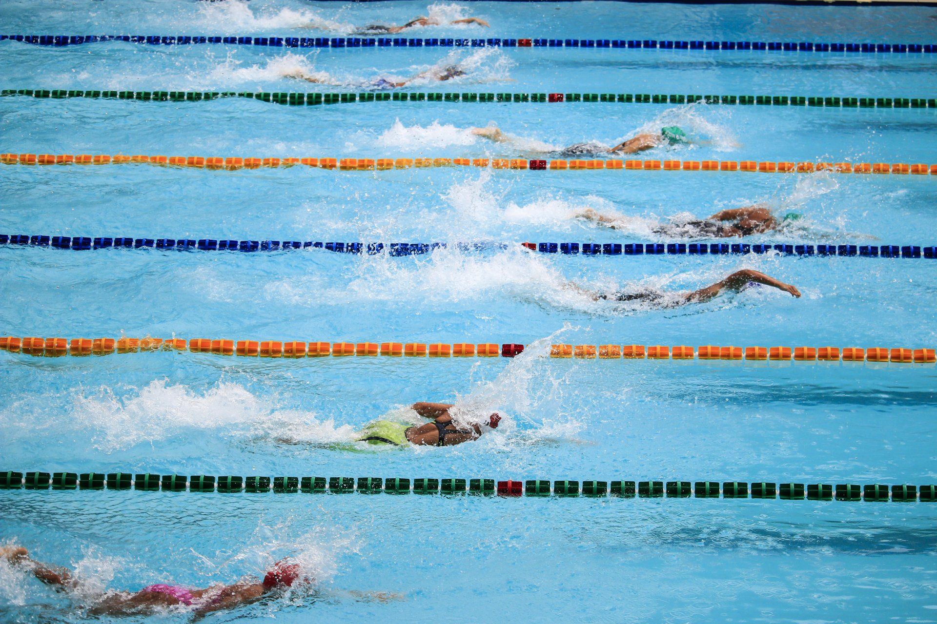 A group of people are swimming in a swimming pool.